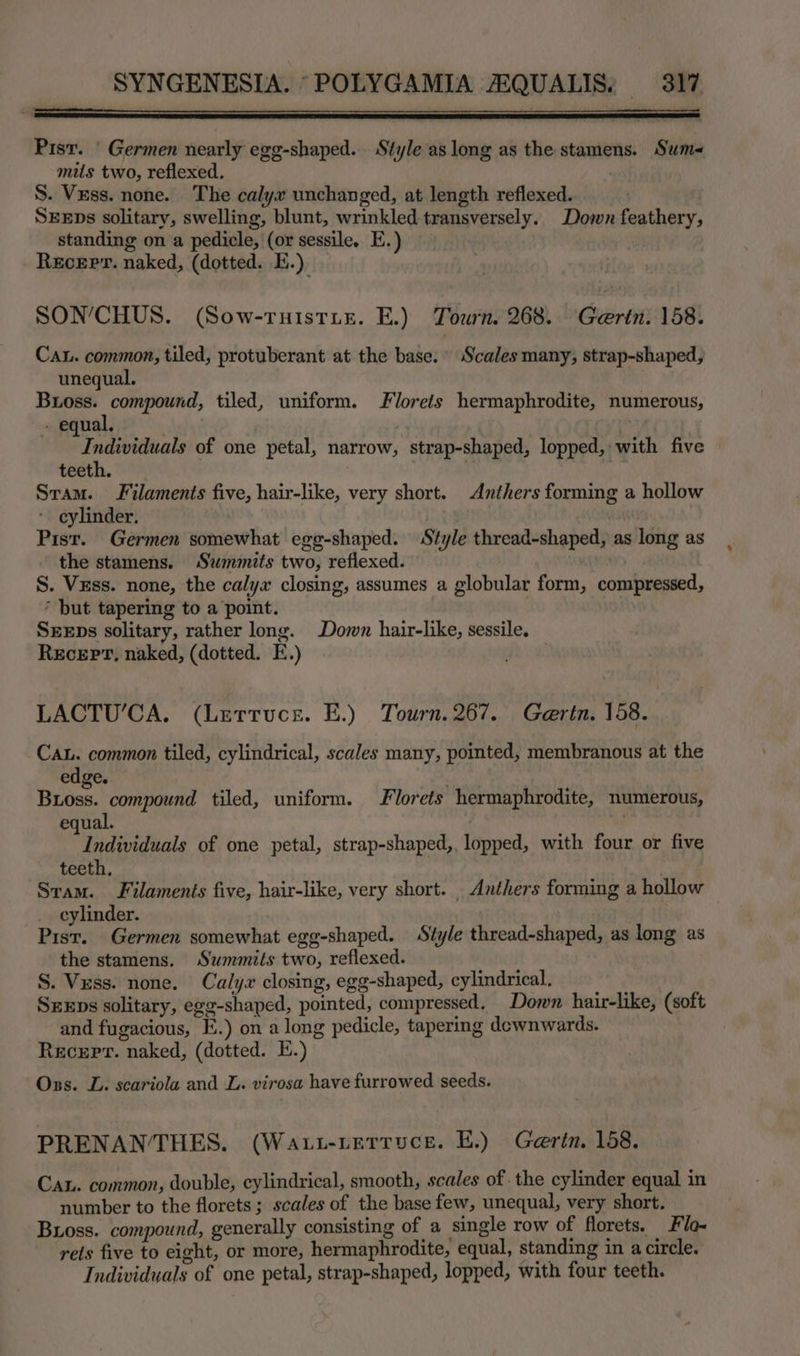 Pisr. | Germen nearly egg-shaped. Style as long as the stamens. Sum mis two, reflexed. S. Vess. none. The caly# unchanged, at length reflexed. SEEDs solitary, swelling, blunt, wrinkled transversely. Down feathery, standing on a pedicle, (or sessile, E.) Recerv. naked, (dotted. E.) SON’CHUS. (Sow-ruistue. E.) Tourn. 268. Gaertn. 158. Ca. common, tiled, protuberant at the base. Scales many, strap-shaped, unequal. Bross. compound, tiled, uniform. Florets hermaphrodite, numerous, » equal. | , Individuals of one petal, narrow, strap-shaped, lopped, with five teeth. | Sram. Filaments five, hair-like, very short. Anthers forming a hollow * cylinder. Pist. Germen somewhat egg-shaped. Style thread-shaped, as long as the stamens. Summits two, reflexed. ht) S. Vzss. none, the calya closing, assumes a globular form, compressed, * but tapering to a point. SEEDs solitary, rather long. Down hair-like, sessile. Recept, naked, (dotted. E.) LACTU’CA. (Lettuce. E.) Tourn. 267. Gertn. 158. CAL. common tiled, cylindrical, scales many, pointed, membranous at the edge. Buoss. compound tiled, uniform. lorets hermaphrodite, numerous, equal. : Individuals of one petal, strap-shaped,, lopped, with four or five teeth, 7 ‘Sram. Filaments five, hair-like, very short. | Anthers forming a hollow cylinder. 3 Pist. Germen somewhat egg-shaped. Style thread-shaped, as long as the stamens. Swmmits two, reflexed. i S. Vess. none. Calyx closing, egg-shaped, cylindrical. Srxps solitary, egg-shaped, pointed, compressed. Down hair-like, (soft and fugacious, E.) on a long pedicle, tapering dewnwards. Recep. naked, (dotted. E.) Oss. L. scariola and L. virosa have furrowed seeds. PRENANTHES. (Waut-tettuce. E.) Gertn. 158. CAL. common, double, cylindrical, smooth, scales of the cylinder equal in number to the florets ; scales of the base few, unequal, very short. Buoss. compound, generally consisting of a single row of florets. Fila rets five to eight, or more, hermaphrodite, equal, standing in a circle. Individuals of one petal, strap-shaped, lopped, with four teeth.