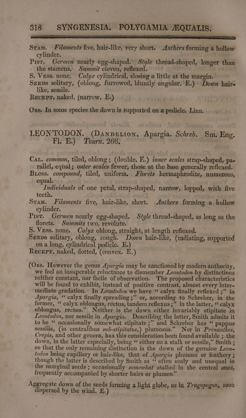 Stam. Filaments five, hair-like, very short. Anthers forming a hollow cylinder. 7 r yha Pist. Germen nearly egg-shaped.” Style thread-shaped, longer than the stamens. Szmmit cloven, reflexed. ©) 10 | RO S. Vess. none, Calyx cylindrical, closing a little at the margin. ° SEEDs solitary, (oblong, furrowed, bluntly angular, E.) Down hair- like, sessile. Recep, naked, (narrow, E:) Oss. In some species the down is supported on a pedicle. Linn. LEON’TODON. (Danpzetion, Apargia. Schreb. Sm. Eng. “FL EL) “Tourn. 266. | ’ Cau. common, tiled, oblong ; (double. E.) inner scales strap-shaped, pa< rallel, equal; outer scales fewer, those at the base generally reflexed. Buoss. compound, tiled, uniform, Florets hermaphrodite, numerous, equal. | TTidividudls of one petal, strap-shaped, narrow, lopped, with five teeth, ) Stam. Filaments five, hair-like, short. Anthers forming a, hollow cylinder. Pist. Germen nearly egg-shaped, Style thread-shaped, as long as the florets. Stmmits two, revolute. . S. Vzss. none, Calyx oblong, straight, at length reflexed. SEEDS solitary, oblong, rough. Down hair-like, (radiating, supported on a long, cylindrical pedicle. E.) RecEpr. naked, dotted, (convex. E.) (Oss. However the genus Apargia may be sanctioned by modern authority, we feel an insuperable reluctance to dismember Leontodon by distinctions neither constant, nor facile of observation. The proposed characteristics will be found to exhibit, instead of positive contrast, almost every inter- mediate gradation. In Jieontodon we have “ calyx finally reflexed ;” in Apargia, “ calyx finally spreading ;” or, according to Schreber, in the former, ‘ calyx oblongus, rectus, tandem reflexus ;” in the latter, “ calyx oblongus, rectus.” Neither is the down either invariably stipitate in | Leontodon, nor sessile in Apargia. Describing the latter, Smith admits it to be “ occasionally somewhat stipitate ;” and Schreber has “ pappus sessilis, (in centralibus swb-stipitatus,) plumosus.” Nor in Prenanthes, Crepis, and other genera, has this consideration been found available ; the down, in the latter especially, being “ either on a stalk or sessile,” Smith ; so that the only remaining distinction is the down of the genuine Leon- todon being capillary or hair-like, that of Apargia plumose or feathery ; though the latter is described by Smith as “ often scaly and unequal in the marginal seeds ; occasionally somewhat stalked in the central ones, frequently accompanied by shorter hairs or plumes.” Aggregate down of the seeds forming a light globe, as in T'ragopogon, soon dispersed by the wind. E.) |