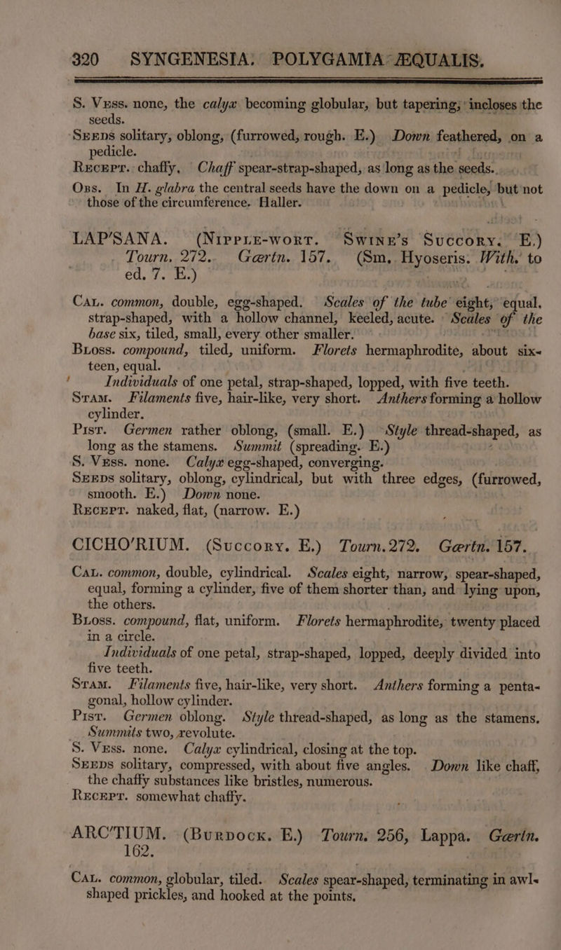 S. Vess. none, the calyx becoming globular, but tapering; incloses the seeds. ‘SEEns solitary, oblong, (furrowed, rough. Be) Down feathengels on a pedicle. ) Recepr. chafly, Chaff spear-strap-shaped, as long as the seeds. Oss. In H. glabra the central seeds have the down on a pedicle, tae not those of the circumference. Haller. LAP’SANA. (Nippre-worr. Swine’s Succory. E,) Tourn, 272... Gaertn. 157. (Sm, mote With.’ to ed. 7. E.) Cau. common, double, egg-shaped. | Scales of the ibe! mine equal, strap-shaped, with a hollow channel, keeled, acute. Scales “of the base six, tiled, small, every other smaller.’ Boss. compound, tiled, uniform. lorets hermaphrodite, about six~ teen, equal. ‘ Individuals of one petal, strap-shaped, lopped, with five teeth. Sram. Filaments five, hair-like, very short. Anthers forming # hollow cylinder. Pist. Germen rather oblong, (small. E.) ~ Style thread-shaped, as long as the stamens. Summit (spreading. E.) S. Vess. none. Calyx egg-shaped, converging. SEEps solitary, oblong, cylindrical, but with three edges, (furrowed, smooth. E.) Down none. Recept. naked, flat, (narrow. E.) CICHO’RIUM. (Succory. E.) Tourn.272. Gertn. 157. Cau. common, double, cylindrical. Scales eight, narrow, spear-shaped, equal, forming a cylinder, five of them shorter than, and lying pa, the others. Buoss. compound, flat, uniform. Fiorets hermaphrodite, twenty placed in a circle. Individuals of one petal, strap-shaped, lopped, deeply divided into five teeth. Sram. Filaments five, hair-like, very short. Anthers forming a penta~ gonal, hollow cylinder. Pist. Germen oblong. Style thread-shaped, as long as the stamens. Summits two, pein Be 5. Vess. none. Calya cylindrical, closing at the top. | SEEDs solitary, compressed, with about five angles. . Down like chaff, the chaffy substances like bristles, numerous. RecEpr. somewhat chaffy. ARC’TIUM. (Burpock. E.) Tourn. 256, sag Gertn. 162. Can. common, globular, tiled. Scales spear-shaped, terminating in awl~ shaped prickles, and hooked at the points,