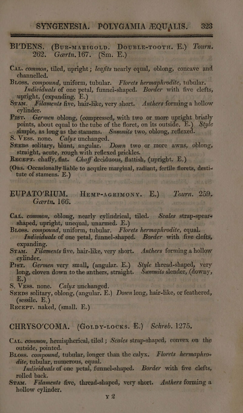 BI’DENS, (BuR-MARIGOLD, ‘Dovste-roortn. E.) Tinh: 262. Garin. 167. (Sm. EF.) . Ca. common, tiled, upright ; leafits nearly equal, oblong, concave and channelled. Boss. compound, uniform, tubular. Florets hermaphrodite, tubular. Individuals of one petal, funnei-shaped. Border with five clefts, upright, (expanding. E.) Sram. Filaments five, hair-like, very short. Anthers forming a hollow cylinder. Pisr. .Germen oblong, (compressed, with two or more upright. bristly points, about equal to the tube of the floret, on its outside. E.) Style . Simple, as long as the stamens. Summits two, oblong, reflexed. S. Vess. none. Calyx unchanged. SrxEps solitary, blunt, angular. Down two or more awns, oblong, straight, acute, rough with reflexed prickles. Maan Receps. chaffy, flat. Chaff deciduous, flattish, (upright. E.) (Oss. Occasionally liable to acquire marginal, radiant, fertile florets, desti~ tute of stamens. E.) EUPATO’RIUM. . Hemp-acrimony.. E.) ourn. 259, Geritn. 166. Cat. common, oblong, nearly cylindrical, tiled. | Scales strap-spear shaped, upright, unequal, unarmed. E.) : | Boss. compound, uniform, tubular. Florets hermaphrodite, equal. Individuals. of one petal, funnel-shaped. Border with five clefts, expanding. s Stam. Filaments five, hair-like, very short. Anthers forming a hollow cylinder, . Pist. Germen very small, (angular. E.) Style thread-shaped, very long, cloven down to the anthers, straight. Eee ge abs on (downy, S. Vess. none. Calyx unchanged. SEEDs solitary, oblong, (angular. E.) Down long, hair-like, or feathered, (sessile. E.) Recepr. naked, (small. E.) CHRYSO’COMA. (Gouipy-tocks. E.) Schreb. 1275. CAL. common, hemispherical, tiled ; Scales strap-shaped, convex on the outside, pointed. Buoss. compound, tubular, longer than the calyx. Florets hermaphro- dite, tubular, numerous, equal. Individuals of one petal, funnel-shaped. Border with five clefts, rolled back. Sram. Filaments five, thread-shaped, very short. Anthers forming a hollow cylinder. ¥2