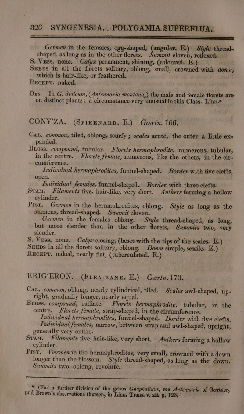 SAE en YS ee Germen in the females, egg-shaped, (angular. E.)\ Style thread- shaped, as long as in the other florets. Summit cloven, reflexed. S. Vess. none. Calyx permanent, shining, (coloured. E.) SEEDs in all the florets solitary, oblong, small, crowned with down, which is hair-like, or feathered. ; . Recep. naked. Oxs. In G. dioicum, (Antennaria montana, ), the male and female florets are on distinct plants ; a circumstance very unusual in this Class. Linn.* CONY’ZA. (Spixzenarp. E.) Gaertn. 166. Can. common, tiled, oblong, scurfy ; scales acute, the outer a little ex- panded. Boss. compound, tubular. Florets hermaphrodite, numerous, tubular, in the centre. Florets female, numerous, like the others, in the cir cumference. Individual hermaphrodites, funnel-shaped. Border with five clefts, open. 7 ndiwidual females, funnel-shaped.. Border with three clefts. Sram. Filaments five, hair-like, very short. Anthers forming a hollow cylinder. Pisr. Germen in the hermaphrodites, oblong. Style as long as the Stamens, thread-shaped. Summit cloven. Germen in the females oblong. Style thread-shaped, as long, but more slender than in the other florets. Summits two, very slender. S. Vuss. none. Calya closing, (beset with the tips of the scales. E.) SEEDS in all the florets solitary, oblong. Down simple, sessile. E.) Rucepr, naked, nearly flat, (tuberculated. E.) ERIG’ERON, (Fiea-pane. E.) Gertn.170. CaL. common, oblong, nearly cylindrical, tiled. Scales awl-shaped, up- right, gradually longer, nearly equal. Bross. compound, radiate. Florets hermaphrodite, tubular, in the centre. lorets female, strap-shaped, in. the circumference. Individual hermaphrodites, funnel-shaped. Border with five clefts. Indwidual females, narrow, between strap and aw]-shaped, upright, generally very entire. Stam. Filaments five, hair-like, very short. » Anthers forming a hollow cylinder. ; Pist. Germen in the hermaphrodites, very small, crowned with a down longer than the blossom. Style thread-shaped, as long as the down. Summits two, oblong, revolute. / * (For a further division of the genus Gnaphalium, see Antennaria of Gertner, and Brown’s observations thereon, in Linn, Frans. V, xii p, 123,