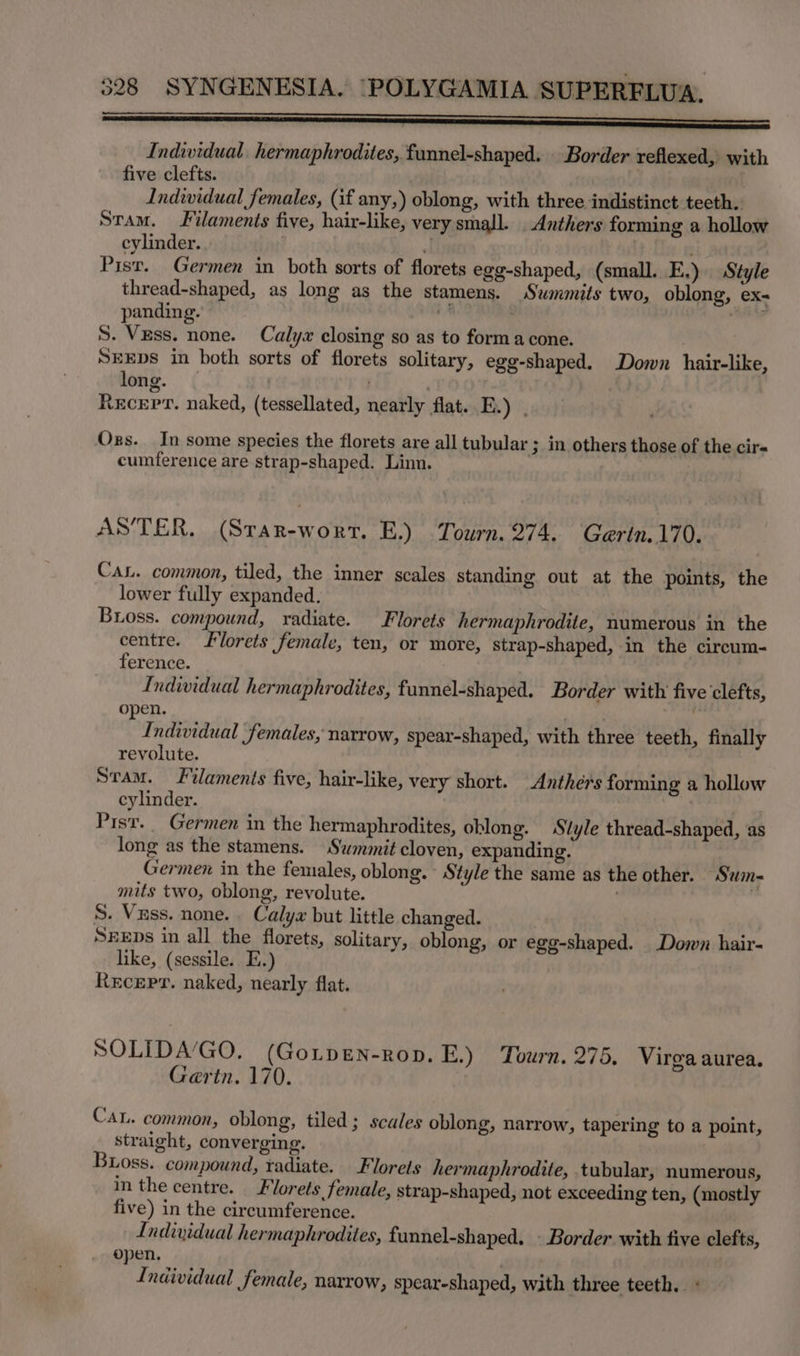 SS SaaS SISSON SOS Individual. hermaphrodites, funnel-shaped. Border reflexed, with five clefts. Individual females, (if any,) oblong, with three indistinct teeth. Stam. Filaments five, hair-like, very small. _Anthers forming a hollow cylinder. i! Pist. Germen in both sorts of florets egg-shaped, (small. E.) Style thread-shaped, as long as the stamens. Swmmits two, oblong, ex- panding. ba S. Vess. none. Calyx closing so as to forma cone. SEEDS in both sorts of florets solitary, egg-shaped. Down hair-like, long. . | REcEPT. naked, (tessellated, nearly flat. E.) . Oxs. In some species the florets are all tubular ; in others those of the cirs cumference are strap-shaped. Linn. ASTER. (Srar-wort. E.) Tourn. 274. Gertn.170. Can. common, tiled, the inner scales standing out at the points, the lower fully expanded. Bross. compound, radiate. Florets hermaphrodite, numerous in the centre. J lorets female, ten, or more, strap-shaped, in the circum- ference. Individual hermaphrodites, funnel-shaped. Border with five ‘clefts, open. Individual females, narrow, spear-shaped, with three teeth, finally revolute. Stam. Filaments five, hair-like, very short. Anthers forming a hollow cylinder. Pist. Germen in the hermaphrodites, oblong. Siyle thread-shaped, as long as the stamens. Swmmit cloven, expanding. Germen in the females, oblong. Style the same as the other. Sum- mits two, oblong, revolute. . . S. Vzss. none. . Calyx but little changed. Sxeps in all the florets, solitary, oblong, or egg-shaped. Down hair- like, (sessile. E.) , Recepr. naked, nearly flat. SOLIDA’GO. (GoLpEN-rop. E.) Tourn. 275. Virga aurea, Gaertn. 170. CaL. common, oblong, tiled; scales oblong, narrow, tapering to a point, straight, converging. Buoss. compound, radiate. Florets hermaphrodite, tubular, numerous, in the centre. florets female, strap-shaped, not exceeding ten, (mostly five) in the circumference. Individual hermaphrodites, funnel-shaped. - Border with five clefts, open, Individual female, narrow, spear-shaped, with three teeth.