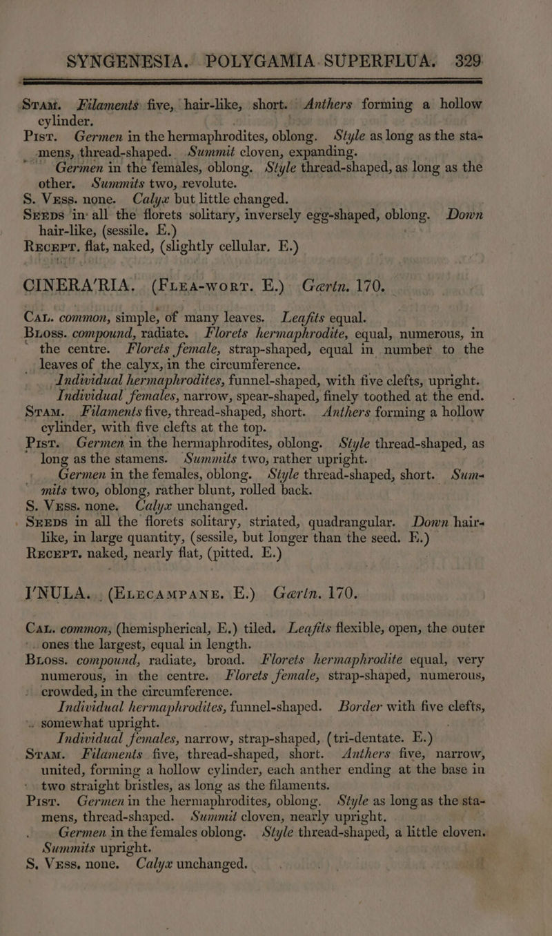 a ” Sram. Filaments: five, hair-like, short. Anthers forming a hollow cylinder. Pist. Germen in the hermaphrodites, ottpeaa Style as long as the sta- mens, thread-shaped. Summit cloven, expanding. “ Germen in the females, oblong. Style thread-shaped, as long as the other. Summits two, revolute. S. Vess. none. Calyx but little changed. SrEps in: all the florets solitary, inversely ege-shaped, oblong. Down hair-like, (sessile. E.) . Recept. flat, naked, (slightly cellular. E.) CINERA’RIA. (Fiea-worr. E.) Gertn. 170. Can. common, simple, of many leaves. Lea/its equal. Bross. compound, radiate. Florets hermaphrodite, equal, numerous, in * the centre. Florets female, strap-shaped, equal in number to the _ leaves of the calyx, in the circumference. Indwidual hermaphrodites, funnel-shaped, with five clefts, upright. Individual females, narrow, spear-shaped, finely toothed at the end. Sram. Filaments five, thread-shaped, short. Anthers forming a hollow cylinder, with five clefts at the top. . Pist. Germen in the hermaphrodites, oblong. Style thread-shaped, as long as the stamens. Summits two, rather upright. Germen in the females, oblong. Style thread-shaped, short. Swm- mits two, oblong, rather blunt, rolled back. S. Vess. none. Calyx unchanged. . Sgeps in all the florets solitary, striated, quadrangular. Down hair like, in large quantity, (sessile, but Jonger than the seed. E.) Recept. naked, nearly flat, (pitted. E.) | I’NULA.., (ELecaAmpaNeE. E.) Gerin. 170. Cau. common, (hemispherical, E.) tiled. Legfits flexible, open, the outer ones the largest, equal in length. Boss. compound, radiate, broad. Florets hermaphrodite equal, very numerous, in the centre. Florets female, strap-shaped, numerous, crowded, in the circumference. Individual hermaphrodites, funnel-shaped. Border with five clefts, .. somewhat upright. Individual females, narrow, strap-shaped, (tri-dentate. E.) Sram. Filaments five, thread-shaped, short. <Anthers five, narrow, united, forming a hollow cylinder, each anther ending at the base in two straight bristles, as long as the filaments. Pist. Germenin the hermaphrodites, oblong. Style as long as the sta- mens, thread-shaped. Summit cloven, nearly upright. Germen in the females oblong. Style thread-shaped, a little cloven. Summits upright.