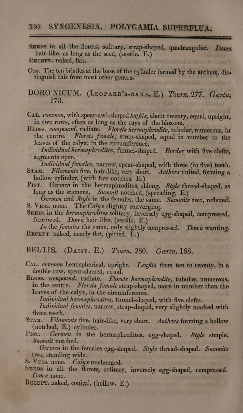 Szxps in all the florets, solitary, strap-shaped, quadrangular. Donn hair-like, as long as the seed, (sessile. E.) Dail Recepr. naked, flat. microns . Oss. The ten bristles at the base of the cylinder formed by the anthers, dis« tinguish this from most other genera. sc DORO'NICUM. (Leoparn’s-nanz. E.) Tourn, 277. Gaertne CAL. common, with spear-awl-shaped leafits, about twenty, equal, upright, in two rows, often as long as the rays of the blossom. Buoss. compound, radiate. “Florets hermaphrodite, tubular, numerous, in the centre. lorets female, strap-shaped, equal in number to the leaves of the calyx, in the circumference, | Individual hermaphrodites, furmel-shaped. Border with five clefts, segments open. . Individual females, narrow, spear-shaped, with three (to five) teeth. Stam. Filaments five, hair-like, very short. Anthers united, forming a hollow cylinder, (with five notches. E.) Pist. Germen in the hermaphrodites, oblong. Style thread-shaped, as long as the stamens, Swmmit notched, (spreading. E.) Germen and Style in the females, the same. Summits two, reftexed. S. Vess. none. The Calyx slightly converging. SEEpDs in the hermaphrodites solitary, inversely egg-shaped, compressed, furrowed. Down hair-like, (sessile. E. Inthe females the same, only slightly compressed. Down wanting. Recep. naked, nearly flat, (pitted. E.) BELLIS. (Daisy. E.) Tourn. 280. Gertn. 168. Cau. common hemispherical, upright. Leafits from ten to twenty, in a double row, spear-shaped, equal. | Boss. compound, radiate. Florets hermaphrodite, tubular, numerous, in the centre. lorets female strap-shaped, more in number than the leaves of the calyx, in the circumference. Individual hermaphrodites, funnel-shaped, with five clefts. Individual females, narrow, strap-shaped, very slightly marked with three teeth. Stam. Filaments five, hair-like, very short. Anthers forming a hollow (notched, E.) cylinder. Pisr. Germen in the hermaphrodites, egg-shaped. Style simple. Summit notched. | Germen in the females egg-shaped. Style thread-shaped. Summits two, standing wide. S. Vess. none. Calyx unchanged. SrxEps in ali the florets, solitary, inversely egg-shaped, compressed. Down none. Recep. naked, conical, (hollow. E.)