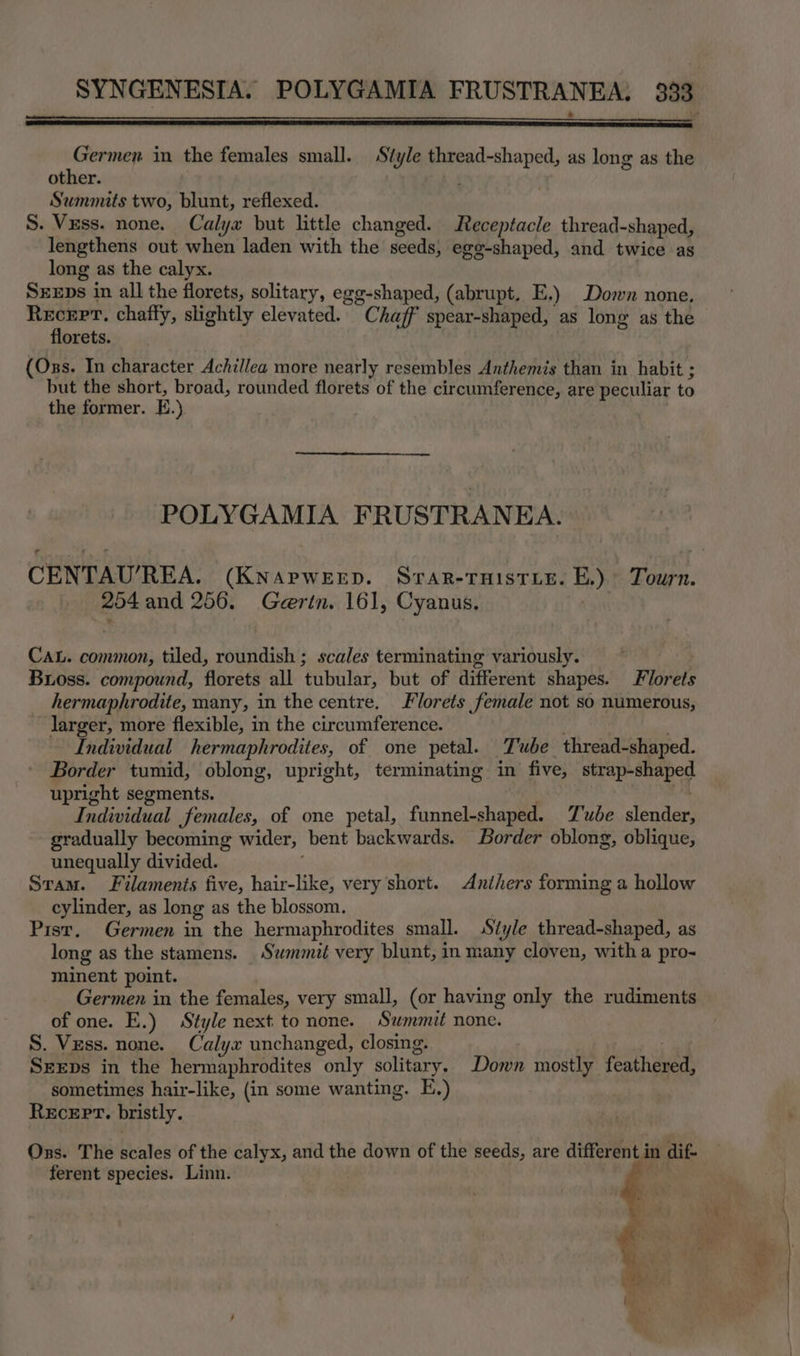 “Phas in the females small. Style Gn ig as long as the other Summits two, blunt, reflexed. S. Vuss. none. Calyx but little changed. Receptacle thread-shaped, lengthens out when laden with the seeds; egg-shaped, and twice as long as the calyx. SEEDs in all the florets, solitary, e gg-shaped, (abrupt. E.) Down none, sy chaffy, slightly elevated. Chaff spear-shaped, as long as the orets. (Ons. In character Achillea more nearly resembles Anthemis than in habit ; but the short, broad, rounded florets of the circumference, are peculiar to the former. BE.) POLYGAMIA FRUSTRANEA. 254 and 256. Gertn. 161, Cyanus. Cau. common, tiled, roundish ; scales terminating variously. Bross. compound, florets all tubular, but of different shapes. lorets hermaphrodite, many, in the centre. Florets female not so numerous, larger, more flexible, in the circumference. . Individual hermaphrodites, of one petal. Tube thread-shaped. Border tumid, oblong, upright, terminating in five, nigh ali upright segments. Individual females, of one petal, funnel-shaped. Tube slender, gradually becoming wider, bent backwards. Border oblong, oblique, unequally divided. Sram. Filaments five, hair-like, very’short. Anihers forming a hollow cylinder, as long as the blossom, Pist. Germen in the hermaphrodites small. Style thread-shaped, as long as the stamens. _ Swmmat very blunt, in many cloven, witha pro- minent point. Germen in the females, very small, (or having only the rudiments of one. E.) Style next to none. Summit none. S. Vzss. none. Calyx unchanged, closing. SEDs in the hermaphrodites only solitary. Down mostly feathaued sometimes hair-like, (in some wanting. E.) RECEPT. bristly. Oss. The scales of the calyx, and the down of the seeds, are different in dif- ferent species. Linn.
