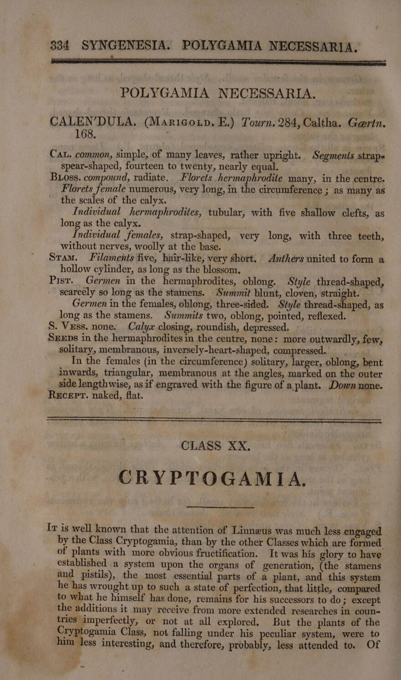 LN eh er a a POLYGAMIA NECESSARIA. CALEN’DULA. (Marico.p. E.) Tourn. 284, Caltha. Gertn. 168. Cau. common, simple, of many leaves, rather upright. Segments straps spear-shaped, fourteen to twenty, nearly equal. oli Boss. compound, radiate. Florets hermaphrodite many, in the centre. Florets female numerous, very long, in the circumference ; as many as the scales of the calyx. : Individual hermaphrodites, tubular, with five shallow clefts, as long as the calyx. Individual females, strap-shaped, very long, with three teeth, without nerves, woolly at the base. Sram. Jtlaments five, hair-like, very short. Anthers united to form a hollow cylinder, as long as the blossom. Pist. Germen in the hermaphrodites, oblong. Style thread-shaped, scarcely so long as the stamens. Summit blunt, cloven, le Germen in the females, oblong, three-sided. Style thread-shaped, as long as the stamens. Swmmits two, oblong, pointed, reflexed. S. Vzss. none. Calyx closing, roundish, depressed. | SEDs in the hermaphrodites in the centre, none: more outwardly, few, solitary, membranous, inversely-heart-shaped, compressed. _. In the females (in the circumference) solitary, larger, oblong, bent inwards, triangular, membranous at the angles, marked on the outer _ side lengthwise, as if engraved with the figure of a,plant. Down none. Recept. naked, flat. . ; CLASS XX. CRYPTOGAMIA. Iv is well known that the attention of Linneus was much less engaged by the Class Cryptogamia, than by the other Classes which are formed of plants with more obvious fructification. It was his glory to have established a system upon the organs of generation, (the stamens and pistils), the most essential parts of a plant, and this system he has wrought up to such a state of perfection, that little, compared to what he himself has done, remains for his successors to do 3 except the additions it may receive from more extended researches in coun- tries imperfectly, or not at all explored. But the plants of the Cryptogamia Class, not falling under his peculiar system, were to him less interesting, and therefore, probably, less attended to. Of