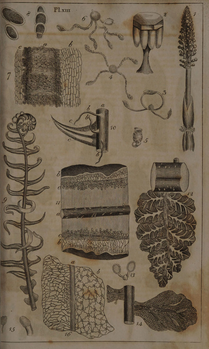 —————— = ————— TOSS: Ae eal