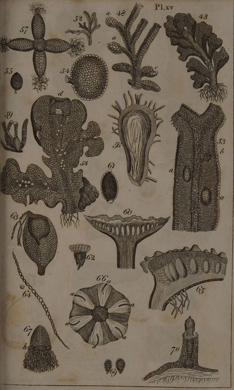 Ss —-s “ CO AV SAE Natenn : XS \  KV ORAE 1 Qn oth AY RON Sy \y NY » \ RTT itt 1 | \ 4a) We h il \ iH \ A SINE Ses 33% M0) i i DOTY Anis : mat Ce RNS, SS IY iY ats i SORE ASN RD i ROAR at many Po ny : ee , PG) Cyto; E Ge Sele} 7 SEES o> io -———