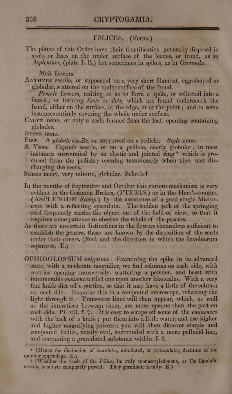 Male flowers. ANTHERS sessile, or supported on a very short filament, egg-shaped or , globular, scattered on the under surface of the frond. : Female flowers, uniting so as to form a spike, or collected into a bunch ; or forming lines or dots, which are found underneath the frond, either on the surface, at the edge, or at the point ; and in some instances entirely covering the whole under surface. CaLyx none, or only a scale formed from the leaf, opening, containing globules. Buoss. none. Pisr. | A globule sessile, or supported on a pedicle, Style none. S. Vess. Capsule sessile, or on a pedicle, nearly globular ; in most instances surrounded by an elastic and jointed ring * which is pro duced from the pedicle; opening transversely when ripe, and dis~ charging the seeds. SEEDS many, very minute, globular. Schreb.t In the months of September and October this curious mechanism is very evident in the Common Brakes, (PTE/RIS,) or in the Hart’s-tongue, . (ASPLE’NIUM 'Scolop.) by the assistance of a good single Micros- cope with a reflecting speculum. The sudden jerk of the springing cord frequently carries the object out of the field of view, so that it requires some patience to observe the whole of the process. As there are no certain distinctions in the flowers themselves i ieee to establish the genera, these are known by the disposition of the seeds under their covers, (Sori, and the direction in which the Involucrum separates, EB.) OPHIOGLOSSUM vulzatum. Examining the spike in its advanced state, with a moderate magnifier, we find columns on each side, with cavities opening transversely, scattering a powder, and beset with innumerable eminences tiled one upon another like scales. With a very fine knife slice off a portion, so that it may have a little of the column on each side. Examine this in a compound microscope, reflecting the light through it. Transverse lines will then appear, which, as well as the interstices between them, are more opaque than the part on each side. Pl. xiii. f.'7. It is easy to serape off some of the eminences ‘with the back of a knife ; put them into a little water, and use higher and higher magnifying powers; you will then discover simple “and compound bodies, mostly oval, surrounded with a more pellucid line, and containing a granulated substance within. f. 8. * (Hence the distinction of annulate, annulated, or cxannulate, destitute of the annular appendage. E.) + (Whether the seeds of the Filices be truly monocotyledonous, as De Candolle asserts, is not yet completely proved, They germinate readily, EH.)