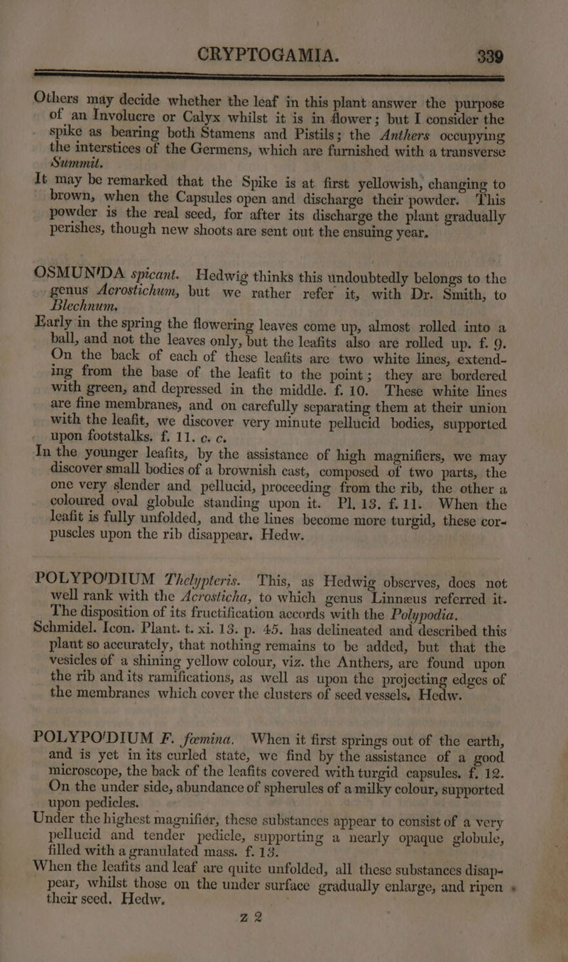 Others may decide whether the leaf in this plant answer the purpose of an Involucre or Calyx whilst it is in flower; but I consider the spike as bearing both Stamens and Pistils; the Anthers occupymg the interstices of the Germens, which are furnished with a transverse Summit. . It may be remarked that the Spike is at first yellowish, changing to brown, when the Capsules open and discharge their powder. ‘This powder is the real seed, for after its discharge the plant gradually perishes, though new shoots are sent out the ensuing year, OSMUN'DA spicant. Hedwig thinks this undoubtedly belongs to the genus Acrostichum, but we rather refer it, with Dr. Smith, to Blechnum. Early in the spring the flowering leaves come up, almost rolled into a ball, and not the leaves only, but the leafits also are rolled up. £. 9, On the back of each of these leafits are two white lines, extend- ing from the base of the leafit to the point; they are bordered with green, and depressed in the middle. f.10. These white lines are fine membranes, and on carefully separating them at their union with the leafit, we discover very minute pellucid bodies, supported _ upon footstalks. f. 11. c. c. In the younger leafits, by the assistance of high magnifiers, we may discover small bodies of a brownish cast, composed of two parts, the one very slender and pellucid, proceeding from the rib, the ‘other a coloured oval globule standing upon it. Pl, 13. f.11. When the leafit is fully unfolded, and the lines become more turgid, these cor« puscles upon the rib disappear. Hedw. POLYPO'DIUM Thelypteris. This, as Hedwig observes, does not well rank with the Acrosticha, to which genus Linneus referred it. The disposition of its fructification accords with the Polypodia, Schmidel. Icon. Plant. t. xi. 13. p. 45. has delineated and described this plant so accurately, that nothing remains to be added, but that the vesicles of a shining yellow colour, viz. the Anthers, are found upon the rib and its ramifications, as well as upon the projecting edges of the membranes which cover the clusters of seed vessels, Hedw. POLYPO'DIUM F. femina. When it first springs out of the earth, and is yet in its curled state, we find by the assistance of a good microscope, the back of the leafits covered with turgid capsules. f. 12. On the under side, abundance of spherules of a milky colour, supported upon pedicles. _ Under the highest magnifier, these substances appear to consist of a very pellucid and tender pedicle, supporting a nearly opaque globule, filled with a granulated mass. f. 13. When the leafits and leaf are quite unfolded, all these substances disap- pear, whilst those on the under surface gradually enlarge, and ripen « their seed. Hedw. hg | ZA