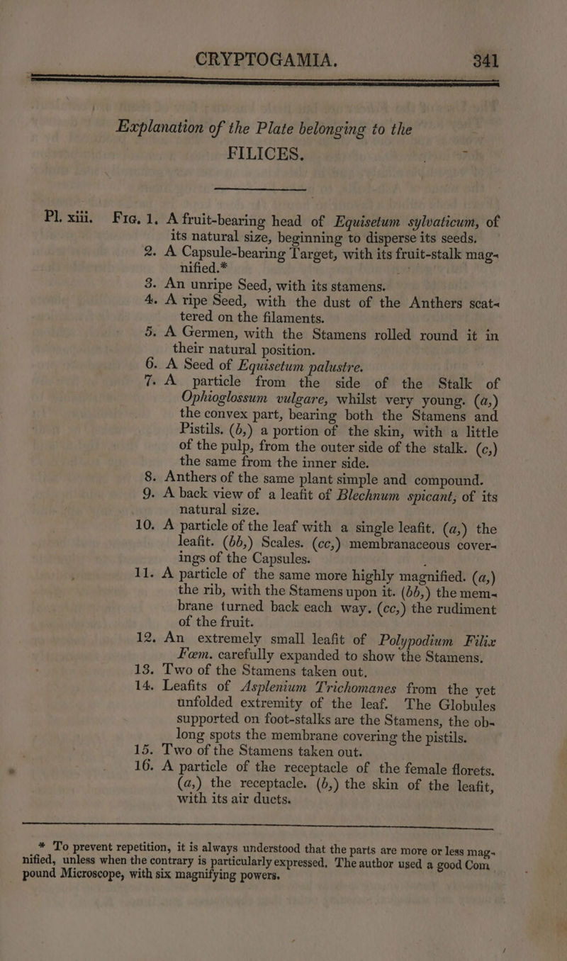 2. 3. 3: © © 10. 11. FILICES. . , A fruit-bearing head of Equisetum sylvaticum, of its natural size, beginning to disperse its seeds. A Capsule-bearing Target, with its fruit-stalk mag- nified.* Wd An unripe Seed, with its stamens. A ripe Seed, with the dust of the Anthers scat~ tered on the filaments. A Germen, with the Stamens rolled round it in their natural position. A Seed of Equisetum palustre. A particle from the side of the Stalk of Ophioglossum vulgare, whilst very young. (a,) the convex part, bearing both the Stamens and Pistils. (6,) a portion of the skin, with a little of the pulp, from the outer side of the stalk. (e;) the same from the inner side. natural size. A particle of the leaf with a single leafit. (a,) the leafit. (6b,) Scales. (cc,) membranaceous cover- ings of the Capsules. : A particle of the same more highly magnified. (a,) the rib, with the Stamens upon it. (66,) the mem- brane turned back each way. (cc,) the rudiment of the fruit. Fem. carefully expanded to show the Stamens. unfolded extremity of the leaf. The Globules supported on foot-stalks are the Stamens, the ob- long spots the membrane covering the pistils. (a,) the receptacle. (b,) the skin of the leafit, with its air ducts.