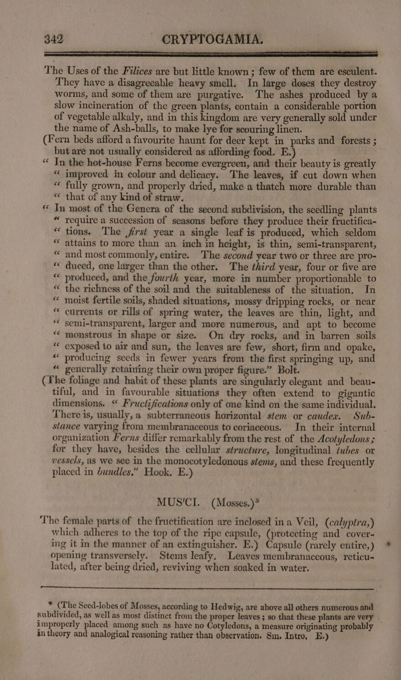 349 ~ CRYPTOGAMIA. | The Uses of the Filices are but little known ; few of them are esculent. They have a disagreeable heavy smell. In large doses they destroy worms, and some of them are purgative. The ashes produced by a slow incineration of the green plants, contain a considerable portion of vegetable alkaly, and in this kingdom are very generally sold under the name of Ash-balls, to make lye for scouring linen. (Fern beds afford a favourite haunt for deer kept in parks and forests ; but are not usually considered as affording food. E.) “ In the hot-house Ferns become evergreen, and their beauty is greatly “« improved in colour and delicacy. The leaves, if cut down when “« fully grown, and properly dried, make a thatch more durable than *¢ that of any kind of straw. In most of the Genera of the second subdivision, the seedling plants “ require a succession of seasons before they produce their fructifica- “ tions. The first year a single leaf is produced, which seldom “ attains to more than an inch in height, is thin, semi-transparent, “ and most commonly, entire. The second year two or three are pro- *« duced, one larger than the other. The third year, four or five are “* produced, and the fourth year, more in number proportionable to “ the richness of the soil and the suitableness of the situation. In “ moist fertile soils, shaded situations, mossy dripping rocks, or near “« currents or rills of spring water, the leaves are thin, light, and ‘¢ semi-transparent, larger and more numerous, and apt to become ** monstrous in shape or size. On dry rocks, and in barren soils “ exposed to air and sun, the leaves are few, short, firm and opake, “‘ producing seeds in fewer years from the first springing up, and “ generally retaining their own proper figure.” Bolt. . (he foliage and habit of these plants are singularly elegant and beau- tiful, and in favourable situations they often extend to gigantic dimensions. “ Fructifications only of one kind on the same individual. There is, usually, a subterraneous horizontal stem or caudex. ~Sub- stance varying from membranaceous to coriaceous. In their internal organization Ferns differ remarkably from the rest of the Acotyledons ; for they have, besides the cellular structure, longitudinal tubes or vessels, a8 we see in the monocotyledonous stems, and these frequently placed in bundles.” Hook. E.) ‘ n MUS'CI. (Mosses.)* The female parts of the fructification are inclosed ina Veil, (calyptra,) which. adheres to the top of the ripe capsule, (protecting and cover- ing it in the manner of an extinguisher. E.) Capsule (rarely entire, ) opening transversely. Stems leafy. Leaves membranaccous, reticu< lated, after being dried, reviving when soaked in water. a ne ee ee ee nee nee See * (The Seed-lobes of Mosses, according to Hedwig, are above all others numerous and subdivided, as well as most distinct from the proper leaves ; so that these plants are very improperly placed among such as have no Cotyledons, a measure originating probably in theory and analogical reasoning rather than observation. Sm. Intro, E.)