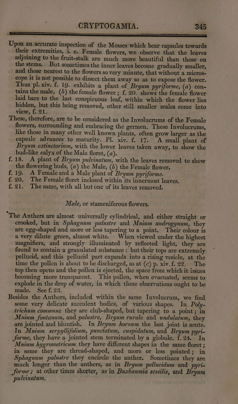 SAAS Upon’ an accurate inspection of the Mosses which bear capsules towards their extremities, i. e. Female flowers, we observe that the leaves adjoining to the fruit-stalk are much more beautiful than those on the stems. But sometimes the inner leaves become gradually smaller, and those nearest to the flowers so very minute, that without a micros- cope it is not’ possible to dissect them away so as to expose the flower. Thus pl. xiv. f. 19. exhibits a plant of. Bryum pyriforme, (a) con- tains the male, (5) the female flower ; f. 20. shows the female flower laid bare to the last conspicuous leaf, within which the flower lies hidden, but this being removed, other still smaller scales come into view, f. 21. These, therefore, are to be considered as the Involucrums of the Female flowers, surrounding and embracing the germen. These Involucrums, like those in many other well known plants, often grow larger as the capsule advances to maturity. Pl. xiv. f. 17. A small plant of Bryum extinctorium, with the lower leaves taken away, to show the bud-like calyx of the Male floret, (a). f.18. A plant of Bryum pulvinatum, with the leaves removed to show the flowering buds, (a) the Male, (4) the Female flower. f.19. A Femaleand a Male plant of Brywm pyriforme. f. 20. The Female floret inclosed within its innermost leaves. f.21. Thesame, with all but one of its leaves removed. Male, or stameniferous flowers. “The Anthers are almost universally cylindrical, and either straight or crooked, but in Sphagnum palustre and Mnium androgynum, they are egg-shaped and more or less tapering to a point. Their colour is a very dilute green, almost white. When viewed under the highest > magnifiers, and strongly illuminated by reflected light, they are found to contain a granulated substance : but their tops are extremely pellucid, and this pellucid part expands into a rising vesicle, at the time the pollen is about to be discharged, as at (c) p. xiv.f. 22. The top then opens and the pollen is ejected, the space from which it issues becoming more transparent. This pollen, when evacuated, seems to explode in the drop of water, in which these observations ought to be made. See f. 23. Besides the Anthers, included within the same Involucrum, we find some very delicate succulent bodies, of various shapes. In Poly- trichum commune they are club-shaped, but tapering to a point; in Mnium fontanum, and palustre, Bryum rurale and undulatum, they are jointed and bluntish. In Bryum hornum the last joint is acute. In Mnium serpyllifolium, punctatum, cuspidatum, and Bryum pyrt= Jorme, they have a jointed stem terminated by a globule. f.24. In Mnium hygrometricum they have different shapes in the same floret ; in some they are thread-shaped, and more or less pointed; in Sphagnum palustre they encircle the anther. Sometimes they are much longer than the anthers, as in Bryum pellucidum and_pyri- forme ; at other times shorter, as in Buxbaumia sessilis, and Bryum pulvinatum. |