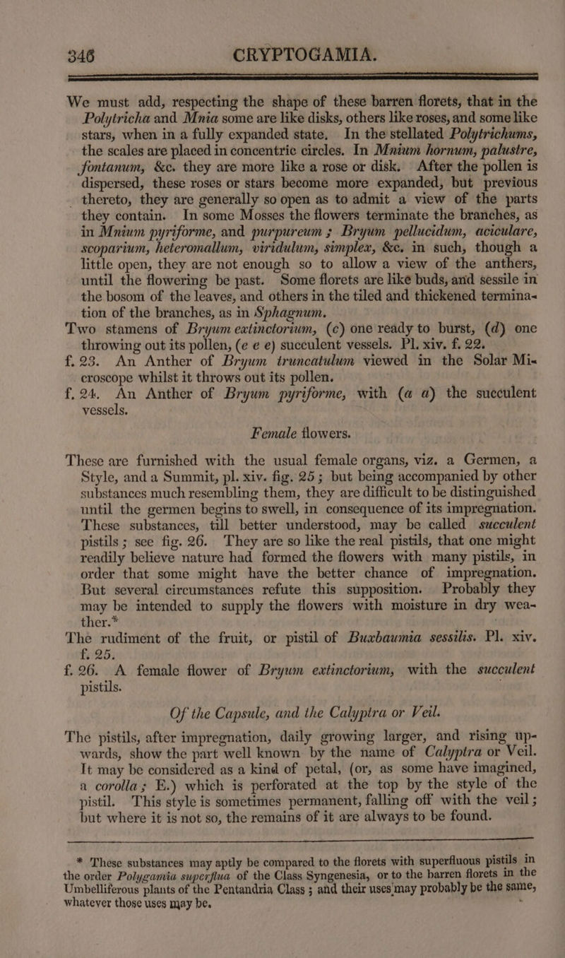 We must add, respecting the shape of these barren florets, that in the Polytricha and. Mnia some are like disks, others like roses, and some like stars, when in a fully expanded state. In the stellated Polytrichums, the scales are placed in concentric circles. In Mnium hornum, palustre, fontanum, &c. they are more like a rose or disk. After the pollen is dispersed, these roses or stars become more expanded, but previous _ thereto, they are generally so open as to admit a view of the parts they contain. In some Mosses the flowers terminate the branches, as in Mnium pyriforme, and purpureum ; Bryum pellucidum, aciculare, scoparium, heteromallum, viridulum, simplex, &c. in such, though a little open, they are not enough so to allow a view of the anthers, until the flowering be past. Some florets are like buds, and sessile in the bosom of the leaves, and others in the tiled and thickened termina< tion of the branches, as in Sphagnum. Two stamens of Bryum eatinctorium, (c) one ready to burst, (d) one throwing out its pollen, (e ¢ e) succulent vessels. PL. xiv. f. 22. f.23. An Anther of Bryum truncatulum viewed in the Solar Mi« croscope whilst it throws out its pollen. f, 24, hs Anther of Bryum pyriforme, with (a a) the succulent vessels. | 7 Female tlowers. These are furnished with the usual female organs, viz. a Germen, a Style, and a Summit, pl. xiv. fig. 25; but being accompanied by other substances much resembling them, they are difficult to be distinguished until the germen begins to swell, in consequence of its impregnation. These substances, till better understood, may be called succulent pistils ; see fig. 26. They are so like the real pistils, that one might readily believe nature had formed the flowers with many pistils, in order that some might have the better chance of impregnation. But several circumstances refute this supposition. Probably they may be intended to supply the flowers with moisture in dry wea~ ther.* The rudiment of the fruit, or pistil of Buxbaumia sessilis. Pl. xiv. £325: f.26. <A female flower of Bryum extinctorium, with the succulent pistils. Of the Capsule, and the Calyptra or Veil. The pistils, after impregnation, daily growing larger, and rising up- wards, show the part well known by the name of Calyptra or Veil. It may be considered as a kind of petal, (or, as some have imagined, a corolla; E.) which is perforated at the top by the style of the pistil. This style is sometimes permanent, falling off with the veil ; but where it is not so, the remains of it are always to be found. ES Dy TRS AM hy RA EE PE PEE BPE 9p SARA, Cy RE Ss PO ES ae ase SE NES * These substances may aptly be compared to the florets with superfluous pistils in the order Polygamia swperflua of the Class Syngenesia, or to the barren florets in the Umbelliferous plants of the Pentandria Class ; and their uses'may probably be the same, whatever those uses may be. .