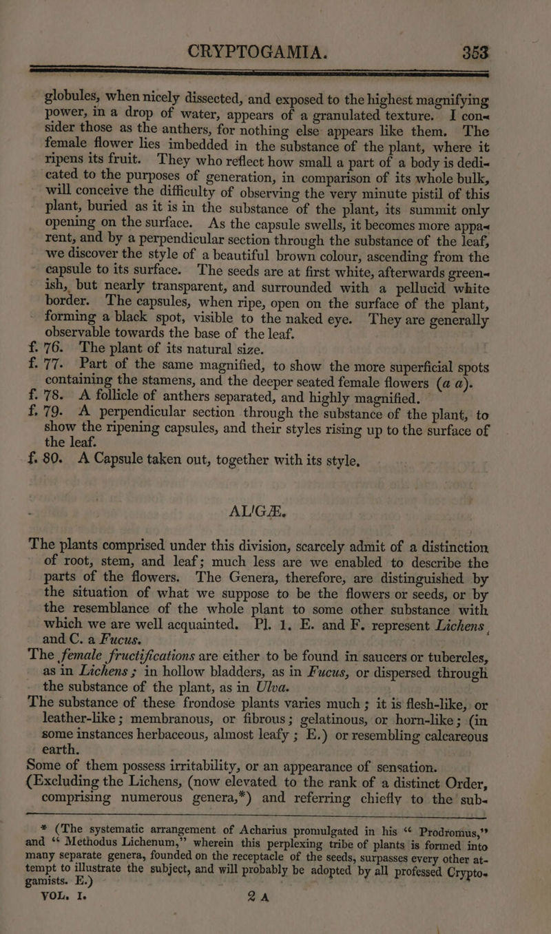 globules, when nicely dissected, and exposed to the highest magnifying power, in a drop of water, appears of a granulated texture. I con« sider those as the anthers, for nothing else appears like them. The female flower lies imbedded in the substance of the plant, where it ripens its fruit. They who reflect how small a part of a body is dedi« cated to the purposes of generation, in comparison of its whole bulk, will conceive the difficulty of observing the very minute pistil of this plant, buried as it isin the substance of the plant, its summit only opening on the surface. As the capsule swells, it becomes more appa~ rent, and by a perpendicular section through the substance of the leaf, we discover the style of a beautiful brown colour, ascending from the capsule to its surface. The seeds are at first white, afterwards green~ ish, but nearly transparent, and surrounded with a pellucid white border. The capsules, when ripe, open on the surface of the plant, forming a black spot, visible to the naked eye. They are generally observable towards the base of the leaf. 76. The plant of its natural size. 77. Part of the same magnified, to show the more superficial spots containing the stamens, and the deeper seated female flowers (a a). - 78. A follicle of anthers separated, and highly magnified. 79. A perpendicular section through the substance of the plant, to show a ripening capsules, and their styles rising up to the surface of the leaf. f. 80. A Capsule taken out, together with its style, Th rh bh ey AL'GE, The plants comprised under this division, scarcely admit of a distinction, of root, stem, and leaf; much less are we enabled to describe the parts of the flowers. The Genera, therefore, are distinguished by the situation of what we suppose to be the flowers or seeds, or by the resemblance of the whole plant to some other substance with which we are well acquainted. PJ. 1. E. and F. represent Lichens , and C. a Fucus. The female fructifications are either to be found in saucers or tubercles, as in Lichens ; in hollow bladders, as in Fucus, or dispersed. through the substance of the plant, as in Ulva. The substance of these frondose plants varies much ; it is flesh-like, or leather-like ; membranous, or fibrous; gelatinous, or horn-like; (in some instances herbaceous, almost leafy ; E.) or resembling calcareous earth. Some of them possess irritability, or an appearance of sensation. (Excluding the Lichens, (now elevated to the rank of a distinct Order, comprising numerous genera,*) and referring chiefly to the sub- Bi ss el ee a ak i a 2 a ee * (The systematic arrangement of Acharius promulgated in his < Prodromus,”” and ‘* Methodus Lichenum,” wherein this perplexing tribe of plants is formed into many separate genera, founded on the receptacle of the seeds, surpasses every other at- tempt to illustrate the subject, and will probably be adopted by all professed Crypto. gamists. E.) . . | YOL. I. QA