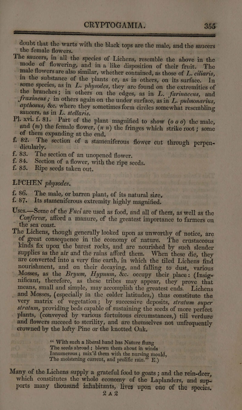 ec eeerene eeeeemenee elt etl doubt that the warts with the black tops are the male, and the saucers the female flowers. The saucers, in all the species of Lichens, resemble the above in the mode of flowering, and ina like disposition of theit fruit. The male flowers are also similar, whether contained, as those of L. ciliaris, in the substance of the plants or, as in others, on its surface. In » Some species, asin L. physodes, they are found on the extremitics of _ the branches; in others on the edges, as in L. farinaceus, and - fraxineus ; in others again on the under surface, asin L. pulmonarius, apthosus, &amp;e. where they sometimes form circles somewhat resembling saucers, as in L. stellaris. Pl. xvi. f. 81. Part of the plant magnified to show (000) the male, and (m) the female flower, (7 ») the fringes which strike root ; some of them expanding at the end. f, 82. The section of a stanieniferous flower cut through perpen~&lt; ~ dicularly. f. 83. The section of an unopened flower. f. 84. Section of a flower, with the ripe seeds. f. 85. Ripe seeds taken out. LI'CHEN physodes. f. 86. The male, or barren plant, of its natural size, f. 87. Its stameniferous extremity highly magnified. Uses.—Some of the Fuci are used as food, and all of them, as well as the Conferve, afford a manure, of the greatest importance to farmers on the sea coast. The Lichens, though generally looked upon as unworthy of notice, are of great consequence in the economy of nature. The crustaceous Kinds fix upon the barest rocks, and are nourished by such slender supplies as the air and the rains afford them. When these die, they are converted into a very fine earth, in which the tiled Lichens find nourishment, and on their decaying, and falling to dust, various Mosses, as the Bryum, Hypnum, &amp;c. occupy their place: (Insig= nificant, therefore, as these tribes may appear, they prove that means, small and simple, may accomplish the greatest ends. Lichens . aud Mosses, (especially in the colder latitudes,) thus constitute the very matrix of vegetation; by successive deposits, stratum super stratum, providing beds capable of sustaining the seeds of more perfect plants, (conveyed by various fortuitous circumstances,) till verdure and flowers succeed to sterility, and are themselves not unfrequently crowned by the lofty Pine or the knotted Oak. ‘¢ With such a liberal hand has Nature flung The seeds abroad ; blown them about in winds _ Innumetous ; mix’d them with the nursing mould, The moistening current, and prolific rain.” E.) Many of the Lichens supply a grateful food to goats ; and the rein-deer, which constitutes the whole economy of the Laplanders, and sup~ ports many thousand inhabitants, lives upon one of the species, 2A