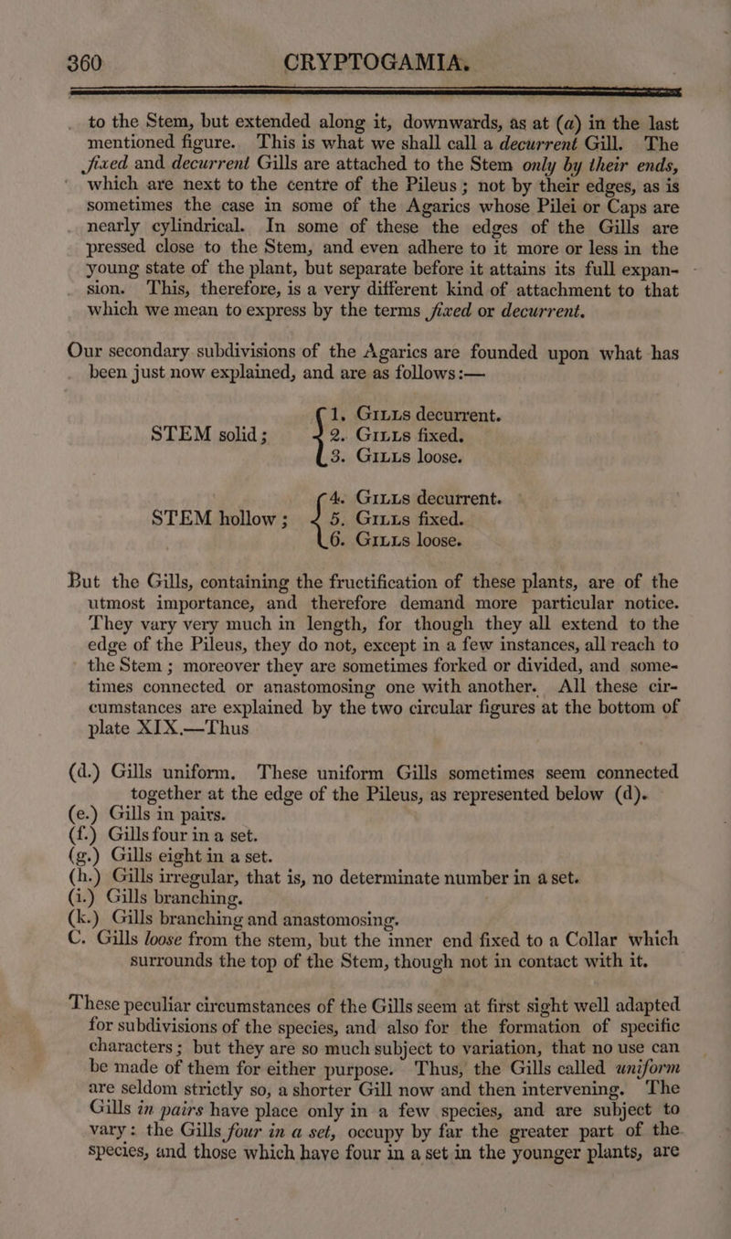 to the Stem, but extended along it, downwards, as at (a) in the last mentioned figure. This is what we shall call a decurrent Gill. The fixed and decurrent Gills are attached to the Stem only by their ends, ' which are next to the centre of the Pileus; not by their edges, as is sometimes the case in some of the Agarics whose Pilei or Caps are nearly cylindrical. In some of these the edges of the Gills are pressed close to the Stem, and even adhere to it more or less in the young state of the plant, but separate before it attains its full expan- - sion. ‘This, therefore, is a very different kind of attachment to that which we mean to express by the terms fixed or decurrent. Our secondary. subdivisions of the Agarics are founded upon what has been just now explained, and are as follows:— 1. Gruus decurrent. STEM solid; 2,.. GIs fixed. 3. GILLs loose. 4. GiLus decurrent. STEM hollow ; {5 Giuts fixed. 6. Gurus loose. But the Gills, containing the fructification of these plants, are of the utmost importance, and therefore demand more particular notice. They vary very much in length, for though they all extend to the edge of the Pileus, they do not, except in a few instances, all reach to the Stem ; moreover they are sometimes forked or divided, and some- times connected or anastomosing one with another. All these cir- cumstances are explained by the two circular figures at the bottom of plate XIX.—Thus (d.) Gills uniform. These uniform Gills sometimes seem connected together at the edge of the Pileus, as represented below (d). (e.) Gills in pairs. (f.) Gills four in a set. (g.) Gills eight in a set. (h.) Gills irregular, that is, no determinate number in 4 set. (i.) Gills branching. | (k.) Gills branching and anastomosing. C. Gills loose from the stem, but the inner end fixed to a Collar which surrounds the top of the Stem, though not in contact with it. These peculiar circumstances of the Gills seem at first sight well adapted for subdivisions of the species, and also for the formation of specific characters ; but they are so much subject to variation, that no use can be made of them for either purpose. Thus, the Gills called uniform are seldom strictly so, a shorter Gill now and then intervening. ‘The Gills in pairs have place only in a few species, and are subject to vary: the Gills four in a set, occupy by far the greater part of the. species, and those which haye four in a set in the younger plants, are