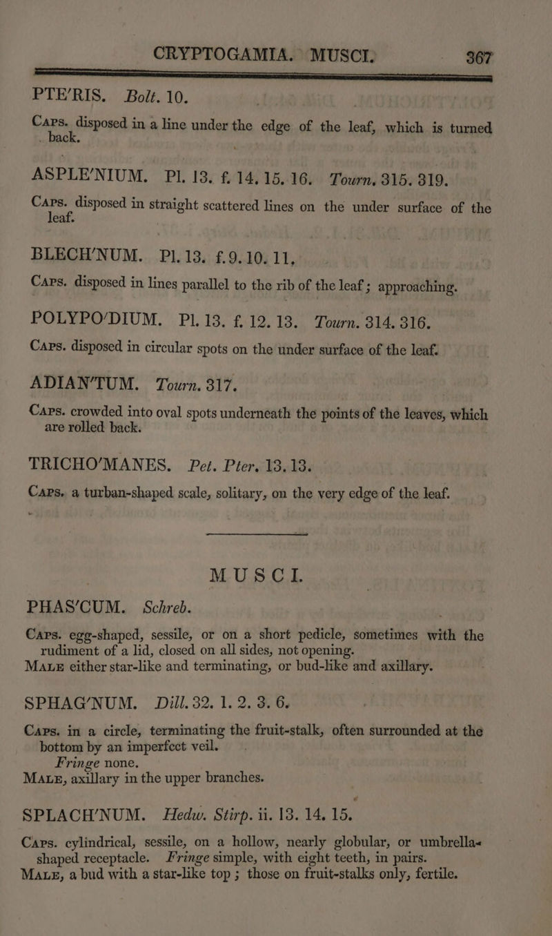 PTE’RIS. Bolt. 10. Stee Bavored in a line under the edge of the leaf, which is turned _ back. | ASPLE/NIUM. Pl. 13. £.14.15.16. Tourn. 315. 319. ee disposed in straight scattered lines on the under surface of the eaf. | BLECH’NUM. P1.13. £.9.10. 11. Caps. disposed in lines parallel to the rib of the leaf ; approaching. POLYPO’DIUM. PI. 13. £12.13. Tourn. 314. 316. Caps. disposed in circular spots on the under surface of the leaf. ADIAN’TUM. Tourn. 317. Caps. crowded into oval spots underneath the points of the leaves, which are rolled back. TRICHO’MANES. Pet. Pier. 13.13. Caps. a turban-shaped scale, solitary, on the very edge of the leaf. . MUSCL PHAS/CUM. Schreb. Caps. egg-shaped, sessile, or on a short pedicle, sometimes with the rudiment of a lid, closed on all sides, not opening. MALE either star-like and terminating, or bud-like and axillary. SPHAG’NUM. Dill. 32. 1. 2. 3. 6. Caps. in a circle, terminating the fruit-stalk, often surrounded at the bottom by an imperfect veil. Fringe none. MA gE, axillary in the upper branches. SPLACH’NUM. Hedw. Stirp. ii. 13. 14.15. Caps. cylindrical, sessile, on a hollow, nearly globular, or umbrella« shaped receptacle. Fringe simple, with eight teeth, in pairs. Mate, a bud with a star-like top ; those on fruit-stalks only, fertile.