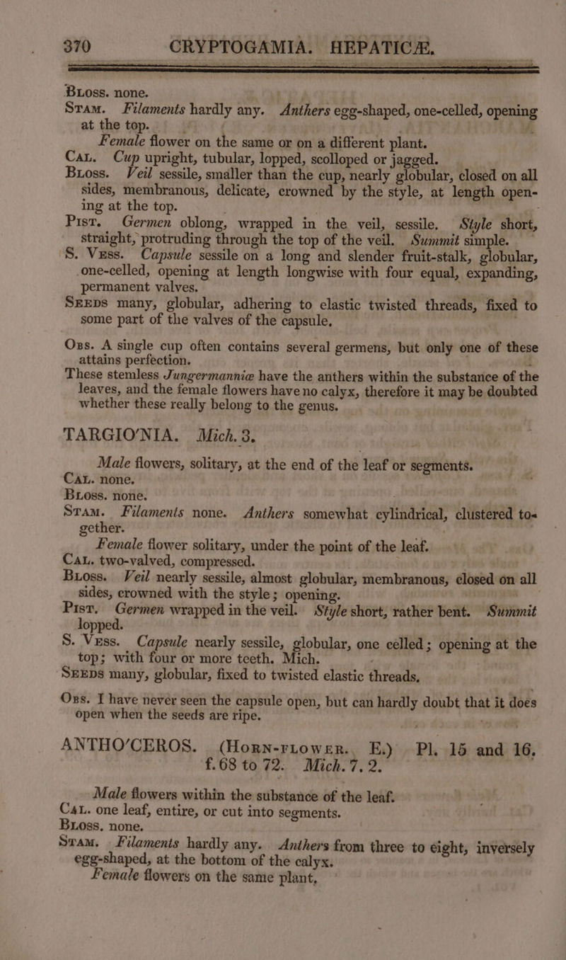 Boss. none. Stam. Filaments hardly any. Anthers egg-shaped, one-celled, opening at the top. AER? A Female flower on the same or on a different plant. Cau. Cup upright, tubular, lopped, scolloped or jagged. Buoss. Veil sessile, smaller than the cup, nearly globular, closed on all sides, membranous, delicate, crowned by the style, at length open- ing at the top. 7 Pist. Germen oblong, wrapped in the veil, sessile, Style short, straight, protruding through the top of the veil. Summit simple. S. Vuss. Capsule sessile on a long and slender fruit-stalk, globular, one-celled, opening at length longwise with four equal, expanding, permanent valves. SEEDS many, globular, adhering to elastic twisted threads, fixed to some part of the valves of the capsule, Oss. A single cup often contains several germens, but only one of these attains perfection. i These stemless Jungermannie have the anthers within the substance of the leaves, and the female flowers have no calyx, therefore it may be doubted whether these really belong to the genus. TARGIO'NIA. Mich. 3. Male flowers, solitary, at the end of the leaf or segments. CAL. none. Bioss. none. snes Stam. Filaments none. Anthers somewhat cylindrical, clustered to« ether. s i Female flower solitary, under the point of the leaf. CaL. two-valved, compressed. . Buoss. Veil nearly sessile, almost globular, membranous, closed on all sides, crowned with the style; opening. a ee Germen wrapped in the veil. Style short, rather bent. ‘Swmmit opped. S. Vess. Capsule nearly sessile, globular, one celled; opening at the top; with four or more teeth. Mich. / SEEDs many, globular, fixed to twisted elastic threads. Oss. I have never seen the capsule open, but can hardly doubt that it does open when the seeds are ripe. . ANTHO’CEROS. (Horn-riower., E.) Pl. 16 and 16, £.68 to 72. Mich. 7.2. Male flowers within the substance of the leaf. Cat. one leaf, entire, or cut into segments. Buoss. none. Stam. Filaments hardly any. Anthers from three to eight, inversely egg-shaped, at the bottom of the calyx. Female flowers on the same plant,