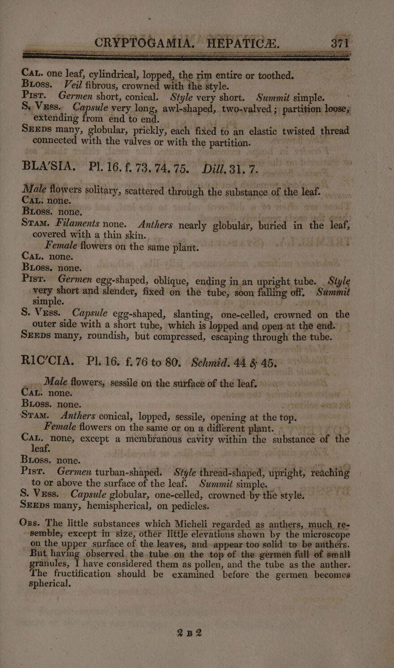 TOGAMIA. _HEP ee en eran men CRYP 9 A omen wee mn, Cat. one leaf, cylindrical, lopped, the rim entire or toothed. Buoss. Veil fibrous, crowned with the style. A Pisr. Germen short, conical. Style very short. Summit simple. S.Vuss.. Capsule very long, awl-shaped, two-valved ; partition loose; extending from end to end. 4 6d ‘ k SEEDs many, globular, prickly, each fixed to an elastic twisted thread connected with the valves or with the partition. BLA‘SIA. Pl. 16. f. 73.74, 75. Dill. 31. 7. Male flowers solitary, scattered through the substance of the leaf. CAL: none. é Buoss. none, Hisdleieeiny atu kell ele Stam. Filaments none. Anthers nearly globular, buried in the leaf, covered with a thin skin. | : Female flowers on the same plant. — til Mir | Ca. none. | Boss. none. Pist. Germen egg-shaped, oblique, ending in an upright tube. _ Siyle very short and slender, fixed on the tube, soon falling off. Summit simple. . . S. vase Capsule egg-shaped, slanting, one-celled, crowned on the outer side with a short tube, which is lopped and open at the end. SEEDs many, roundish, but compressed, escaping through the tube. RIC’CIA. Pl. 16. £.76 to 80. Schmid. 44 &amp; 45: _... Male flowers, sessile on the surface of the leaf. CaL. none. Buoss. none. Sram. Anthers conical, lopped, sessile, opening at the top. Female flowers on the same or on a different plant. © Cau. none, except a membranous cavity within the substance of the leaf. Bross. none. lbs CaN i Si ll ll Pist. Germen turban-shaped. Style thread-shaped, upright, reaching to or above the surface of the leaf. Summit simple. i | S. Vess. Capsule globular, one-celled, crowned by the style. SEEDs many, hemispherical, on pedicles. Ozs. The little substances which Micheli regarded as anthers, much. re- ~ semble; except in sizé, other little elevations shown by the microscope on the upper surface of the leaves, and appear too solid to be anthers. But having observed the tube on the top of the germen full of smalk granules, I have considered them as pollen, and the tube as the anther. The fructification should be examined before the germen becomes spherical. 2B