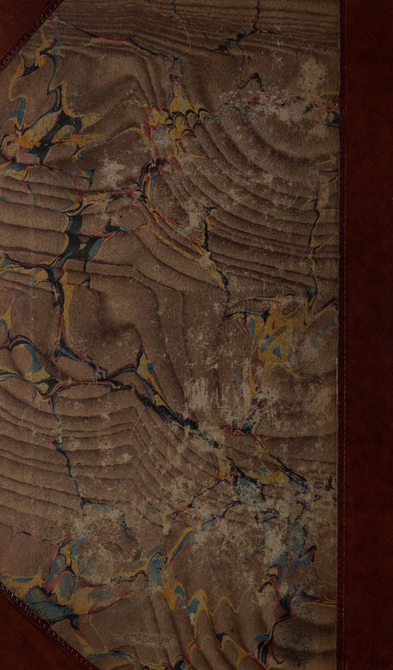 No text description is available for this image