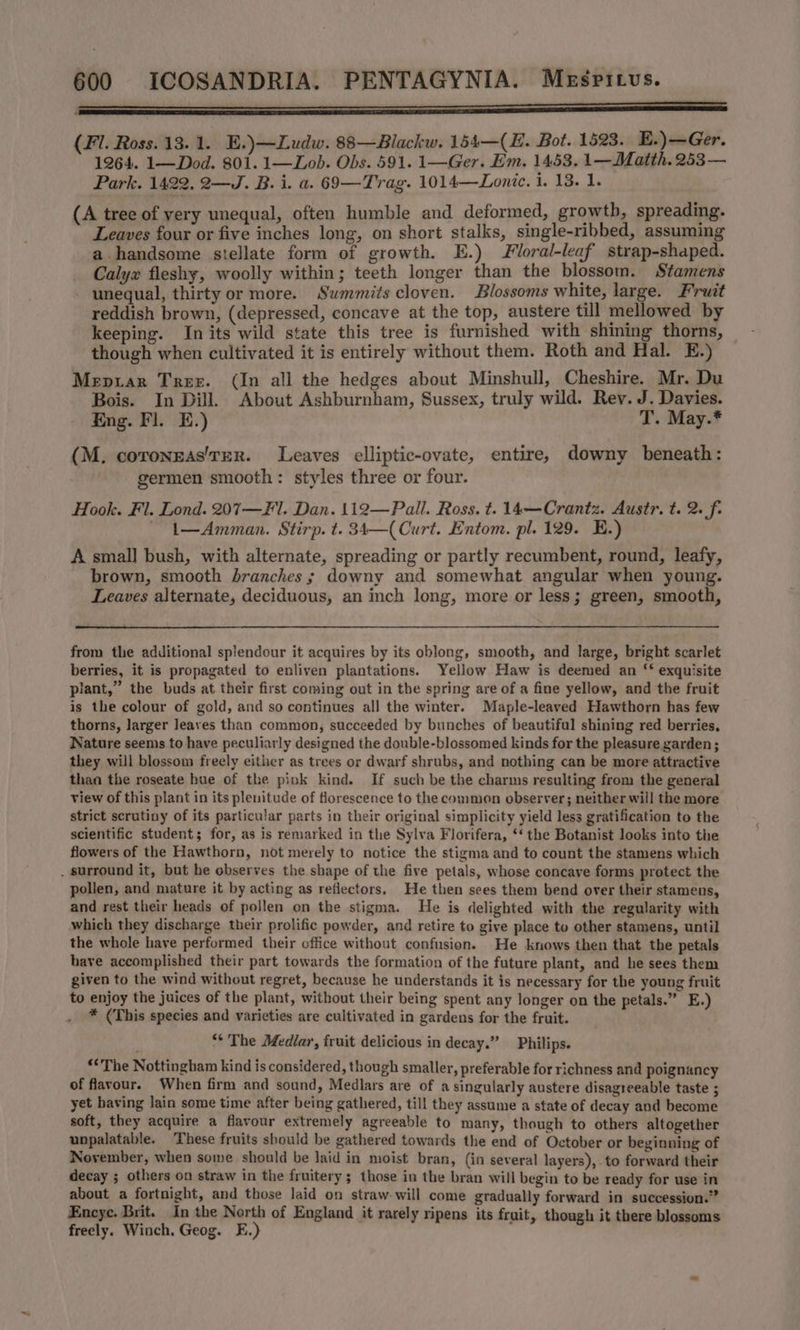 (Fl. Ross. 13. 1. E.)—Ludw. 88—Blackw. 154—(E. Bot. 1523. E.)—Ger. 1264. 1—Dod. 801. 1—Lob. Obs. 591. 1—Ger. Em. 1453. 1—Matth. 253— Park. 1422. 2—J. B. i. a. 69—Trag. 1014—Lonze. 1. 13. 1. (A tree of very unequal, often humble and deformed, growth, spreading. Leaves four or five inches long, on short stalks, single-ribbed, assuming a handsome stellate form of growth. E.) loral-leaf strap-shaped. Calyx fleshy, woolly within; teeth longer than the blossom. Stamens unequal, thirty or more. Summits cloven. Blossoms white, large. Fruit reddish brown, (depressed, concave at the top, austere till mellowed by keeping. In its wild state this tree is furnished with shining thorns, though when cultivated it is entirely without them. Roth and Hal. E.) Mepiar Trex. (In all the hedges about Minshull, Cheshire. Mr. Du Bois. In Dill. About Ashburnham, Sussex, truly wild. Rev. J. Davies. Eng. Fl. E.) T. May.* (M, coronzas’TER. Leaves elliptic-ovate, entire, downy beneath: germen smooth: styles three or four. Hook. Fl. Lond. 207—Fl. Dan. 112—Pall. Ross. t. 14—Crantz. Austr. t. 2. f. - L—Amman. Stirp. t. 34—( Curt. Entom. pl. 129. E.) A small bush, with alternate, spreading or partly recumbent, round, leafy, brown, smooth branches ; downy and somewhat angular when young. Leaves alternate, deciduous, an inch long, more or less; green, smooth, from the additional splendour it acquires by its oblong, smooth, and large, bright scarlet berries, it is propagated to enliven plantations. Yellow Haw is deemed an “ exquisite plant,” the buds at their first coming out in the spring are of a fine yellow, and the fruit is the colour of gold, and so continues all the winter. Maple-leaved Hawthorn has few thorns, larger leaves than common, succeeded by bunches of beautiful shining red berries, Nature seems to have peculiarly designed the double-blossomed kinds for the pleasure garden ; they will blossom freely either as trees or dwarf shrubs, and nothing can be more attractive than the roseate hue of the pink kind. If such be the charms resulting from the general view of this plant in its plenitude of florescence to the common observer; neither will the more strict scrutiny of its particular parts in their original simplicity yield less gratification to the scientific student; for, as is remarked in the Sylva Florifera, ‘* the Botanist looks into the flowers of the Hawthorn, not merely to notice the stigma and to count the stamens which . surround it, but he observes the shape of the five petals, whose concave forms protect the pollen, and mature it by acting as reflectors, He then sees them bend over their stamens, and rest their heads of pollen on the stigma. He is delighted with the regularity with which they discharge their prolific powder, and retire to give place to other stamens, until the whole have performed their office without confusion. He knows then that the petals have accomplished their part towards the formation of the future plant, and he sees them given to the wind without regret, because he understands it is necessary for the young fruit to enjoy the juices of the plant, without their being spent any longer on the petals.” E.) * (This species and varieties are cultivated in gardens for the fruit. “* The Mediar, fruit delicious in decay.” Philips. ‘*The Nottingham kind is considered, though smaller, preferable for richness and poignancy of flavour. When firm and sound, Medlars are of a singularly austere disagreeable taste ; yet baving lain some time after being gathered, till they assume a state of decay and become soft, they acquire a flavour extremely agreeable to many, though to others altogether unpalatable. These fruits should be gathered towards the end of October or beginning of November, when some should be laid in moist bran, (in several layers), to forward their decay ; others on straw in the fruitery ; those in the bran will begin to be ready for use in about a fortnight, and those laid on straw-will come gradually forward in succession.” Encye. Brit. In the North of England it rarely ripens its fruit, though it there blossoms freely. Winch. Geog. E.)