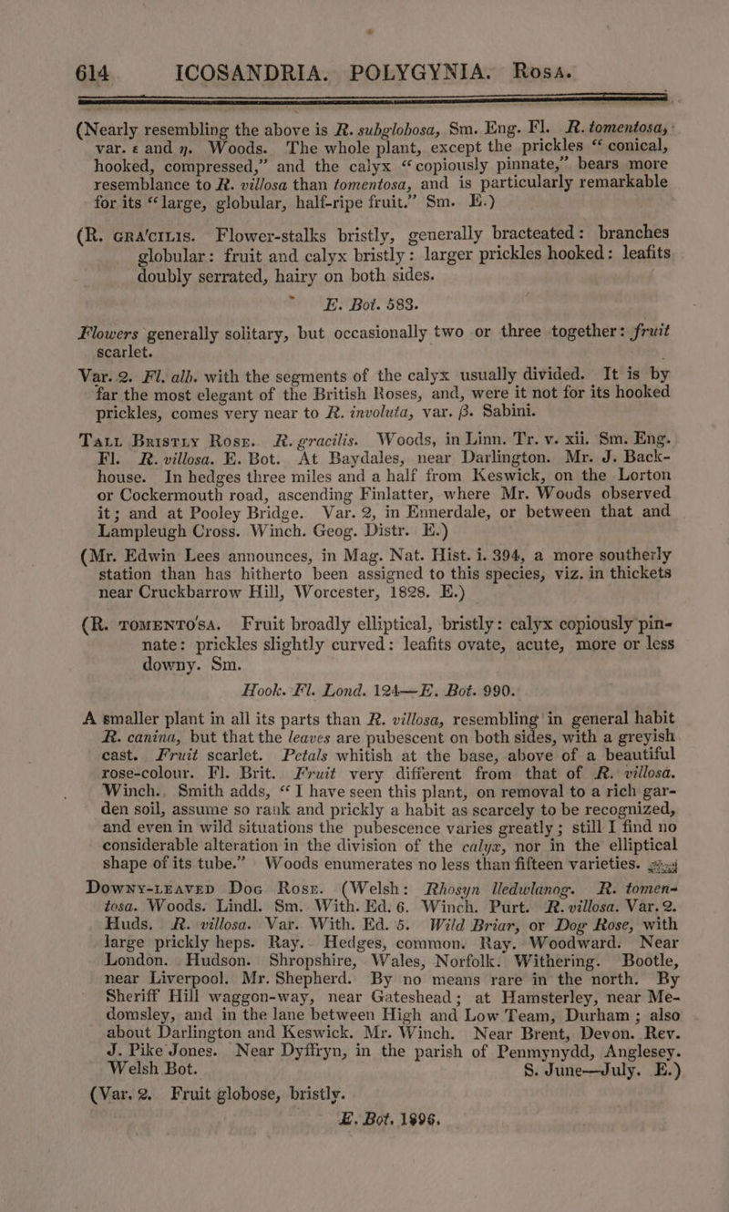 ca 614 ICOSANDRIA. POLYGYNIA. Rosa. (Nearly resembling the above is R. subglobosa, Sm. Eng. Fl. R. tomentosa, : var. «and 7. Woods. The whole plant, except the prickles “ conical, hooked, compressed,” and the calyx ‘copiously pinnate,” bears more resemblance to R. villosa than tomentosa, and is particularly remarkable for its “large, globular, half-ripe fruit.” Sm. E.) (R. Gra’criis. Flower-stalks bristly, generally bracteated: branches globular: fruit and calyx bristly: larger prickles hooked: leafits doubly serrated, hairy on both sides. ~ E. Bot. 583. Flowers generally solitary, but occasionally two or three together: fruit scarlet. Var. 2. Fl. alb. with the segments of the calyx usually divided. It is by far the most elegant of the British Roses, and, were it not for its hooked prickles, comes very near to R. involuta, var. 8. Sabini. Tat. Bristry Rosr. R. gracilis. Woods, in Linn. Tr. v. xii. Sm. Eng. Fl. R&amp;R. villosa. E. Bot. At Baydales, near Darlington. Mr. J. Back- house. In hedges three miles and a half from Keswick, on the Lorton or Cockermouth road, ascending Finlatter, where Mr. Wouds observed it; and at Pooley Bridge. Var. 2, in Ennerdale, or between that and Lampleugh Cross. Winch. Geog. Distr. E.) (Mr. Edwin Lees announces, in Mag. Nat. Hist. i. 394, a more southerly station than has hitherto been assigned to this species, viz. in thickets near Cruckbarrow Hill, Worcester, 1828. E.) (R. romeNTO'sA. Fruit broadly elliptical, bristly: calyx copiously pin- nate: prickles slightly curved: leafits ovate, acute, more or less downy. Sm. Hook. Fl. Lond. 124—E. Bot. 990. A smaller plant in all its parts than R. villosa, resembling in general habit R. canina, but that the leaves are pubescent on both sides, with a greyish cast. Fruit scarlet. Petals whitish at the base, above of a beautiful rose-colour.. Fl. Brit. Fruit very different from that of A. villosa. Winch., Smith adds, “I have seen this plant, on removal to a rich gar- den soil, assume so rank and prickly a habit as scarcely to be recognized, and even in wild situations the pubescence varies greatly ; still I find no considerable alteration in the division of the calyx, nor in the elliptical shape of its tube.” Woods enumerates no less than fifteen varieties. gj Downy-tEaveD Doc Rost. (Welsh: Rhosyn IUedwlanog. R. tomen tesa. Woods. Lindl. Sm. With. Ed. 6. Winch. Purt. R. villosa. Var. 2. Huds. &amp;. villosa. Var. With. Ed. 5. Wild Briar, or Dog Rose, with large prickly heps. Ray.. Hedges, common. Ray.. Woodward. Near London. Hudson. Shropshire, Wales, Norfolk. Withering. Bootle, near Liverpoo]. Mr. Shepherd. By no means rare in the north. By Sheriff Hill waggon-way, near Gateshead; at Hamsterley, near Me- domsley, and in the lane between High and Low Team, Durham ; also about Darlington and Keswick. Mr. Winch. Near Brent, Devon. Rev. J. Pike Jones. Near Dyffryn, in the parish of Penmynydd, Anglesey. Welsh Bot. 8. June—July. E.) (Var. 2. Fruit globose, bristly. E. Bot. 1996.