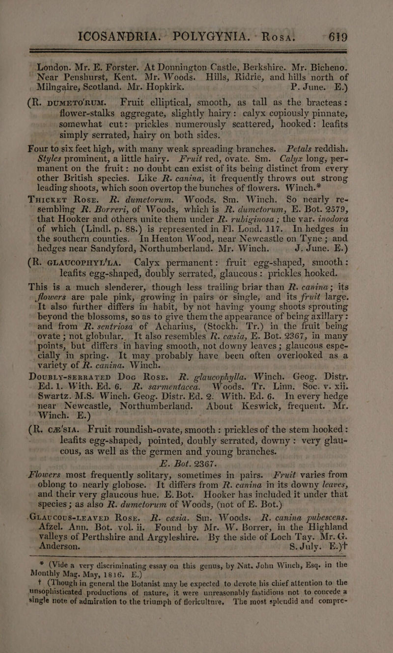 ' London. Mr. E. Forster. At Donnington Castle, Berkshire. Mr. Bicheno. Near Penshurst, Kent. Mr. Woods. Hills, Ridrie, and hills north of _ Milngaire, Scotland. Mr. Hopkirk. . P. June. E.) (R. pumETORuM. Fruit elliptical, smooth, as tall as the bracteas: flower-stalks aggregate, slightly hairy: calyx copiously pinnate, somewhat cut: prickles numerously scattered, hooked: leafits simply serrated, hairy on both sides. Four to six feet high, with many weak spreading branches. Petals reddish. Styles prominent, a little hairy. Fruit red, ovate. Sm. Calyx long, per~ manent on the fruit: no doubt can exist of its being distinct from every other British species. Like R. canina, it frequently throws out strong leading shoots, which soon overtop the bunches of flowers. Winch.* Tuicket Rosz. R. dumetorum. Woods. Sm. Winch. So nearly re- ~sembling R. Borreri, of Woods, which is R. dumetorum, E. Bot. 2579, that Hooker and others unite them under R. rubiginosa ; the var. inodora of which (Lindl. p. 88.) is represented in Fl. Lond. 117., In hedges in the southern counties. In Heaton Wood, near Newcastle on Tyne; and hedges near Sandyford, Northumberland. Mr. Winch. J. June. E.) (R. eLaucopnyt/La. Calyx permanent: fruit egg-shaped, smooth: leafits egg-shaped, doubly serrated, glaucous: prickles hooked. This is a much slenderer, though less trailing briar than R. canina; its Jlowers are pale pink, growing in pairs or single, and its fruit large. It also further differs in habit, by not having young shoots sprouting ' beyond the blossoms, so as to give them the appearance of being axillary: and from R. sentriosa ef Acharius, (Stockh. Tr.) in the fruit being ovate ; not globular. It also resembles FR. cesta, E. Bot. 2367, in many ‘points, but differs in having smooth, not downy leaves; glaucous espe~ cially in spring. It may probably have been often overlooked as a variety of FR. canina. Winch. Dovsiy-serRAteED Doc Rosr. R. glaucophylla. Winch. Geog. Distr. Ed. 1. With. Ed. 6. R. sarmentacea. Woods. Tr. Linn. Soc. v. xii. Swartz. M.S. Winch. Geog. Distr. Ed. 2. With. Ed. 6. In every hedge near Newcastle, Northumberland. About Keswick, frequent. Mr. Winch. E.) (R. cw'sra. Fruit roundish-ovate, smooth : prickles of the stem hooked : leafits egg-shaped, pointed, doubly serrated, downy: very glau- cous, as well as the germen and young branches. EE. Bot. 2367. Flowers most frequently solitary, sometimes in pairs. Fruit varies from oblong to nearly globose. It differs from R. canina in its downy leaves, and their very glaucous hue. E. Bot. Hooker has included it under that species ; as also R. dumetorum of Woods, (not of E. Bot.) -Giaucous-LEaveD Rose. R. cesia. Sm. Woods. R. cunina pubescens. Afzel. Ann. Bot. vol. ii. Found by Mr. W. Borrer, in the Highland valleys of Perthshire and Argyleshire. By the side of Loch Tay. Mr. G. Anderson. . : | S.July. E.)t * (Vide a very discriminating essay on this genus, by Nat. John Winch, Esq. in the Monthly Mag. May, 1816. E.) t (Though in general the Botanist may be expected to devote his chief attention to the unsophisticated productions of nature, it were unreasonably fastidious not to concede a single note of admiration to the triumph of floriculture. The most splendid and compre-