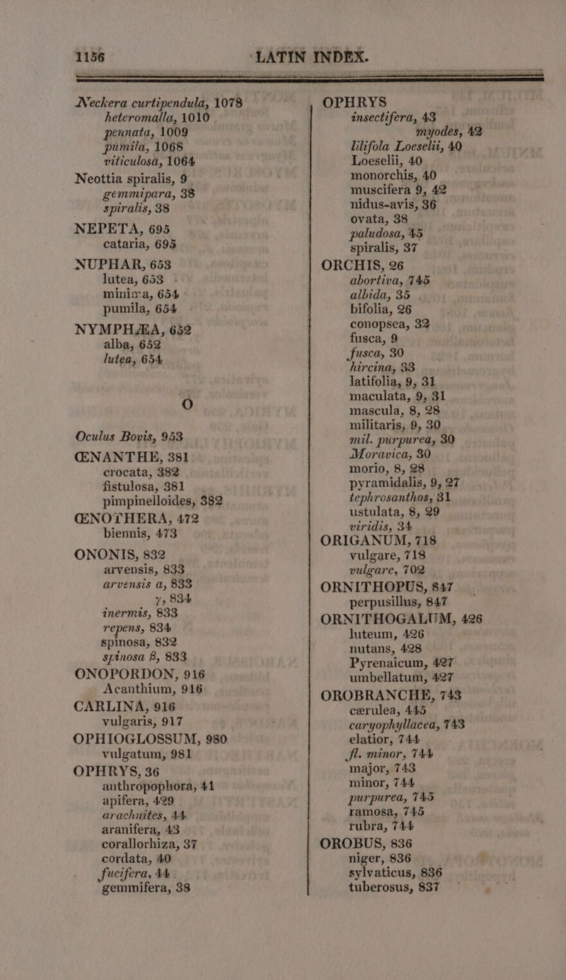 Neckera curtipendula, 1078 = OPHRYS heteromalla, 1010 insectifera, 43 pennata, 1009 myodes, 42 pumila, 1068 lilifola Loeselit, 40 viticulosa, 1064 Loeselii, 40 Neottia spiralis, 9. monorchis, 4,0 gemmipara, 38 muscifera 9, 42 spiralis, 38 yan i 36 ‘ . ovata, NEPETA, 695 paludosa, 45 cataria, 695 spiralis, 37 NUPHAR, 653 ORCHIS, 26 lutea, 653 - abortiva, 745 minima, 654 albida, 35 | pumila, 654 - bifolia, 26 NYMPHAEA, 652 : conopsea, 32 alba, 652 fusca, 9 3 lutea, 654 skint ee hercina, 33 latifolia, 9, 31 maculata, 9, 31 O mascula, 8, 28 , militaris, 9, 30 Oculus Bovis, 953 mil. purpurea, 30 CENANTHE, 381 Moravica, 30 crocata, 382 morlo, 8, 28 fistulosa, 381 pyramidalis, 9, 27 pimpinelloides, 382 tephrosanthos, 31 CENOTHERA, 472 Usholats, Sie &gt; biennis, 473 viridis, 34 4 ORIGANUM, 718 ONONIS, 832 vulgare, 718 arvensis, 833 vulgare, 702 arvensis a, 833 ORNITHOPUS, 847 _ 1,834 perpusillus, 847 Bice yh ORNITHOGALUM, 426 dy sigs luteum, 426 spinosa, 832 spinosa B, 833 nutans, 428 Pyrenaicum, 427 seat eae eo umbellatum, 427 Ca aa OROBRANCHE, 743 CARLINA, 916 cerulea, 445 ‘ vulgaris, 917 . caryoph ed 743 OPHIOGLOSSUM, 980 elatior, 744 vulgatum, 981 Jl. minor, 744 OPHRYS, 36 major, 743 anthropophora, 41 minor, 744 apifera, 429 purpurea, T45 arachnites, 44 ramosa, 745 aranifera, 43 rubra, 744 corallorhiza, 37 OROBUS, 836 cordata, 40 niger, 836 Sfucifera, 44 sylvaticus, 836 gemmifera, 38 tuberosus, 837