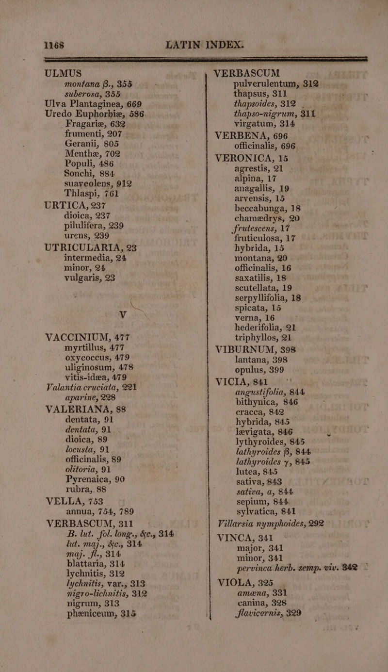 VERBASCUM pulverulentum, 312 thapsus, 31] | thapsoides, 312 , thapso-nigrum, 311 virgatum, 314 VERBENA, 696 officinalis, 696 VERONICA, 15 agrestis, 21 alpina, 17 anagallis, 19 arvensis, 15 beccabunga, 18 chamedrys, 20 Jrutescens, 17 fruticulosa, 17 ULMUS montana B., 355 suberosa, 355 Ulva Plantaginea, 669 Uredo Euphorbia, 586. Fragarie, 632 frumenti, 207 Geranii, 805 Menthe, 702 Populi, 486 Sonchi, 884 suaveolens, 912 Thlaspi, 761 URTICA, 237 dioica, 237 pilulifera, 239 urens, 239 UTRICULARIA, 23 hybrida, 15 intermedia, 24 montana, 20 minor, 24 officinalis, 16 vulgaris, 23 saxatilis, 18 scutellata, 19 serpyllifolia, 18 spicata, 15 verna, 16 hederifolia, 21 triphyllos, 21 VIBURNUM, 398 lantana, 398 opulus, 399 VICIA,. 841 angustifolia, 844 bithynica, 846 cracca, 842 hybrida, 845 levigata, 846 sak lythyroides, $45 lathyroides 8, 844 lathyroides y, 845 lutea, 845 sativa, 843 sativa, a, 844 sepium, 844 sylvatica, 841 Villarsia nymphoides, 292 VINCA, 341 major, 341 minor, 341 pervinca herb. semp. viv. B42 - VIOLA, 325 amena, 331 canina, 328 Slavicornis, 329 Ax Vv VACCINIUM, 477 myrtillus, 477 oxycoccus, 479 uliginosum, 478 vitis-idea, 479 Valantia cruciata, 221 aparine, 228 VALERIANA, 88 dentata, 91 dentata, 91 dioica, 89 locusta, 91 officinalis, 89 olitoria, 91 Pyrenaica, 90 rubra,. 88 VELLA, 753 annua, 754, 789 VERBASCUM, 311 B. lut. fol. long., &amp;¢., 314 lut. maj., &amp;c., 314 maj. fl., 314 blattaria, 314 lychnitis, 312 lychnitis, var., 313 nigro-lichnitis, 312 nigrum, 313 pheniceum, 315