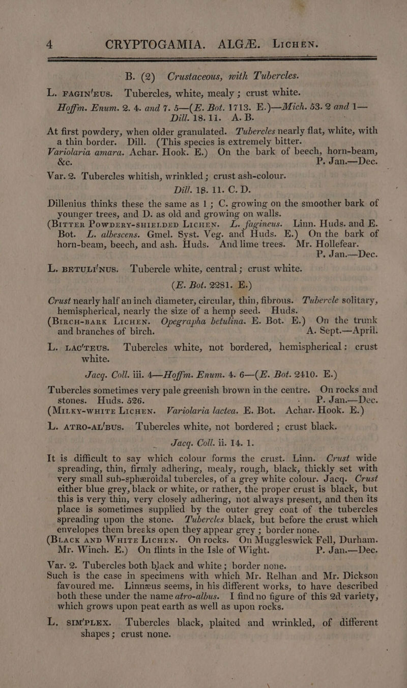 ee 7 B. (2) Crustaceous, with Tubercles. L. racin'eus. Tubercles, white, mealy ; crust white. Hoffm. Enum. 2. 4. and 7. 5—(E. Bot. 1713. E.)—Mich. 53. 2 and 1— Dill. 18.11. A.B. At first powdery, when older granulated. Tubercles nearly flat, white, with a thin border. Dill. (This species is extremely bitter. Variolaria amara. Achar. Hook. E.) On the bark of beech, horn-beam, &amp;c. P. Jan.—Dec. Var. 2. Tubercles whitish, wrinkled ; crust ash-colour. Dill. 18. 11. C. D. Dillenius thinks these the same as 1 ; C. growing on the smoother bark of younger trees, and D. as old and growing on walls. (Birrer Powpery-suieLtpep Licuen. L. fagineus. Linn. Huds. and E. Bot. JL. albescens. Gmel. Syst. Veg. and Huds. E.) On the bark of horn-beam, beech, and ash. Huds. Andlime trees. Mr. Hollefear. P, Jan.—Dec. L. seTuLINus. Tubercle white, central; crust white. (E. Bot. 2281. E.) Crust nearly half an inch diameter, circular, thin, fibrous. Tubercle solitary, hemispherical, nearly the size of a hemp seed. Huds. (Brrcu-sark Licuen. Opegrapha betulina. E. Bot. E.) On the trunk and branches of birch. A. Sept.—April. L. tac’rEus. Tubercles white, not bordered, hemispherical: crust white. Jacq. Coll. iii. 4—Hoffm. Enum. 4. 6—(E. Bot. 2410. E.) Tubercles sometimes very pale greenish brown in the centre. On rocks and stones. Huds. 526. . PP. Jan.—Dec. (Mirxy-wuite Licurn. Variolaria lactea. E. Bot. Achar. Hook. E.) L. atTRo-Au'Bus. Tubercles white, not bordered ; crust black. Jacq. Coll. ii. 14. 1. It is difficult to say which colour forms the crust. Linn. Crust wide spreading, thin, firmly adhering, mealy, rough, black, thickly set with very small sub-spheroidal tubercles, of a grey white colour. Jacq. Crust either blue grey, black or white, or rather, the proper crust is black, but this is very thin, very closely adhering, not always present, and then its place is sometimes supplied by the outer grey coat of the tubercles spreading upon the stone. Twbercles black, but before the crust which envelopes them breaks open they appear grey ; border none. (Brack anp Wurte Licuen. Onrocks. On Muggleswick Fell, Durham. Mr. Winch. E.) On flints in the Isle of Wight. P. Jan.—Dec. Var. 2. Tubercles both black and white; border none. Such is the case in specimens with which Mr. Relhan and Mr. Dickson favoured me. Linneus seems, in his different works, to have described - both these under the name atro-albus. I find no figure of this 2d variety, which grows upon peat earth as well as upon rocks. ‘ides L, stm'pLex. Tubercles black, plaited and wrinkled, of different shapes ; crust none.