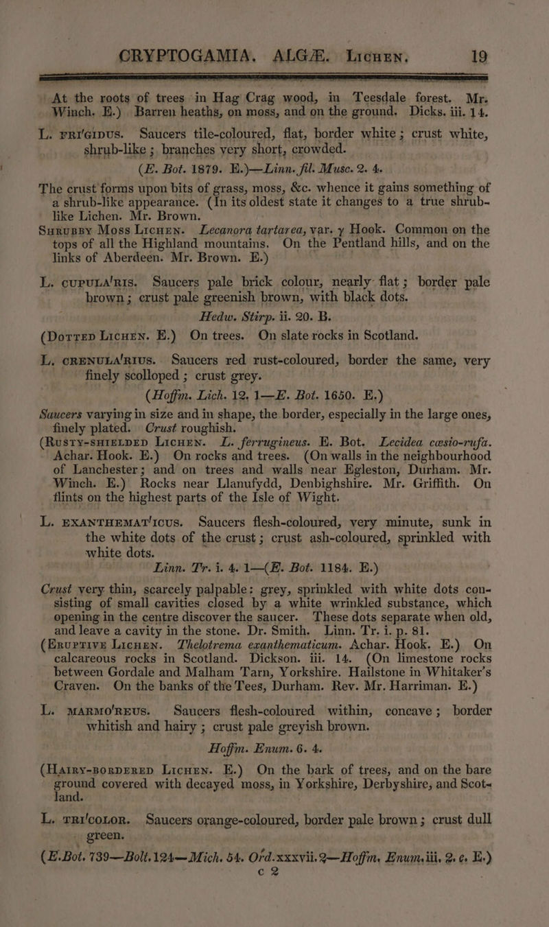 At the roots of trees in Hag Crag wood, in Teesdale forest. Mr. Winch. E.) . Barren heaths, on moss, and on the ground. Dicks. iii. 14. L. rriqius. Saucers tile-coloured, flat, border white ; crust white, shrub-like ;, branches very short, crowded. (E. Bot. 1879. E.)—Linn. fil. Muse. 2. 4 The crust forms upon bits of grass, moss, &amp;c. whence it gains something of a shrub-like appearance. (In its oldest state it changes to a true shrub- like Lichen. Mr. Brown. : SurusBy Moss Licuen. Lecanora tartarea, var. y Hook. Common on the tops of all the Highland mountains. On the Pentland hills, and on the links of Aberdeen. Mr. Brown. E.) L. cuputa'ris. Saucers pale brick colour, nearly flat; border pale brown; crust pale greenish brown, with black dots. Hedw. Stirp. ii. 20. B. (Dorren Licuen. E.) On trees. On slate rocks in Scotland. L, crenuLA'Rivus. Saucers red rust-coloured, border the same, very finely scolloped ; crust grey. (Hoffm. Lich. 12, 1—E. Bot. 1650. E.) Saucers varying in size and in shape, the border, especially in the large ones, finely plated. Crust roughish. (Rusty-sH1eLpED LicuEen. L. ferrugineus. E. Bot. Lecidea cesio-rufa. Achar. Hook. E.) On rocks and trees. (On walls in the neighbourhood of Lanchester; and on trees and walls near Egleston, Durham. Mr. Winch. E.) Rocks near Llanufydd, Denbighshire. Mr. Griffith. On flints on the highest parts of the Isle of Wight. L. EXANTHEMAT'ICcUS. Saucers flesh-coloured, very minute, sunk in the white dots of the crust; crust ash-coloured, sprinkled with white dots. ' ; Linn. Tr. i. 4. 1—(E. Bot. 1184. E.) Crust very. thin, scarcely palpable: grey, sprinkled with white dots con- sisting of small cavities closed by a white wrinkled substance, which opening in the centre discover the saucer. These dots separate when old, and leave a cavity in the stone. Dr. Smith. Linn. Tr. 1. p. 81. (Ernvetive Licnen. Thelotrema exanthematicum. Achar. Hook. E.) On calcareous rocks in Scotland. Dickson. iii. 14. (On limestone rocks between Gordale and Malham Tarn, Yorkshire. Hailstone in Whitaker’s Craven. On the banks of the Tees, Durham. Rev. Mr. Harriman. E.) L. marmo'rEvs. Saucers flesh-coloured within, concave; border whitish and hairy ; crust pale greyish brown. Hoffm. Enum. 6. 4. (Hatry-sorprerep Licnen. E.) On the bark of trees, and on the bare dal pe covered with decayed moss, in Yorkshire, Derbyshire, and Scot~ and. . L. rri'cotor. Saucers orange-coloured, border pale brown; crust dull _ green. (E. Bot. 739—Bolt.124— Mich. 54, Ord.xxxvii. 2Q—Hoffm, Enunviii, 2. ¢ E:) Cc 2