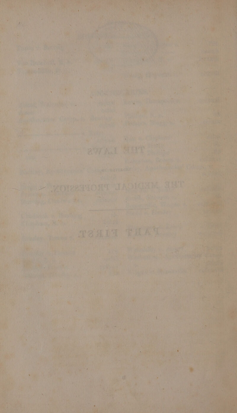 cyirys oe we Ey ey % ft. Ete ; cn? a ide ae,