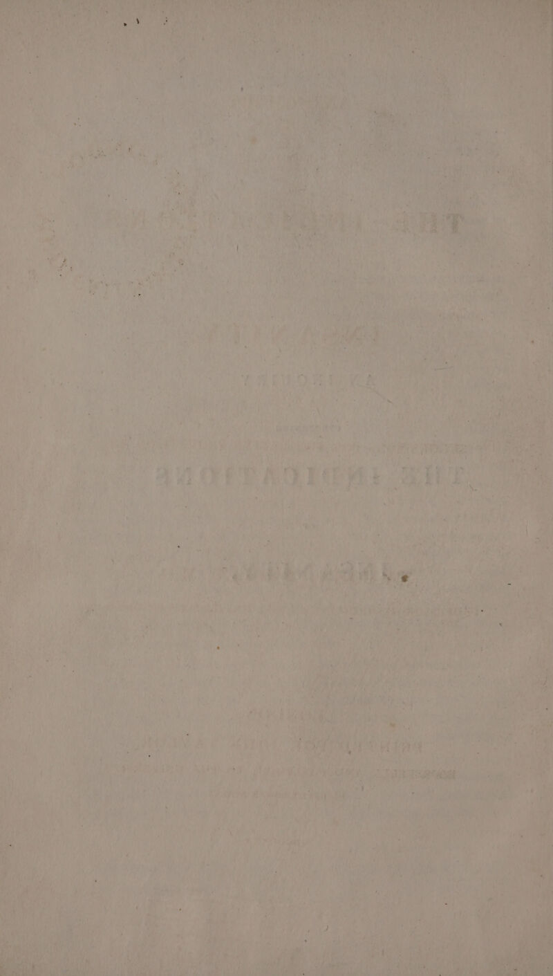 aber! +. ry Pad i a i Gains yn