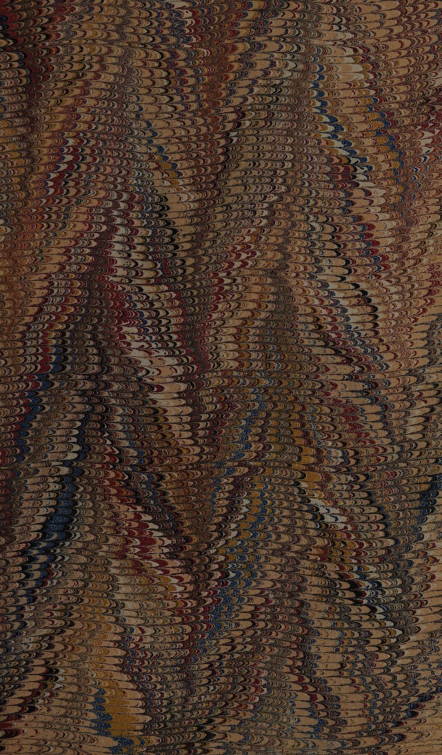 No text description is available for this image