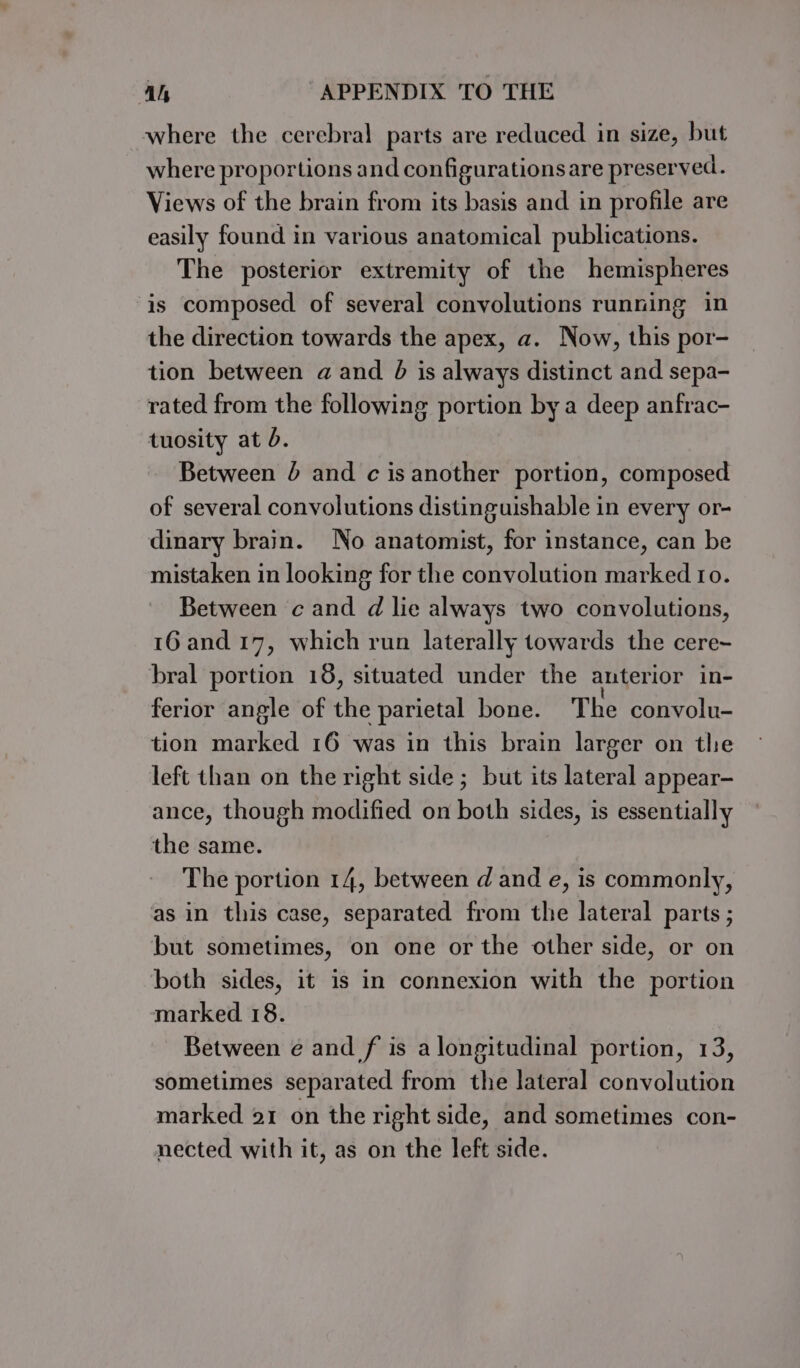 where the cerebral parts are reduced in size, but where proportions and configurationsare preserved. Views of the brain from its basis and in profile are easily found in various anatomical publications. The posterior extremity of the hemispheres is composed of several convolutions running in the direction towards the apex, a. Now, this por- tion between a and &amp; is always distinct and sepa- rated from the following portion bya deep anfrac- tuosity at d. Between 4 and c is another portion, composed of several convolutions distinguishable in every or- dinary brain. No anatomist, for instance, can be mistaken in looking for the convolution marked ro. Between cand d lie always two convolutions, 16 and 17, which run laterally towards the cere- bral portion 18, situated under the anterior in- ferior angle of the parietal bone. The convolu- tion marked 16 was in this brain larger on the left than on the right side; but its lateral appear- ance, though modified on both sides, is essentially the same. The portion 14, between d and e, is commonly, as in this case, separated from the lateral parts ; but sometimes, on one or the other side, or on both sides, it is in connexion with the portion marked 18. Between e and f is a longitudinal portion, 13, sometimes separated from the lateral convolution marked 41 on the right side, and sometimes con- nected with it, as on the left side.