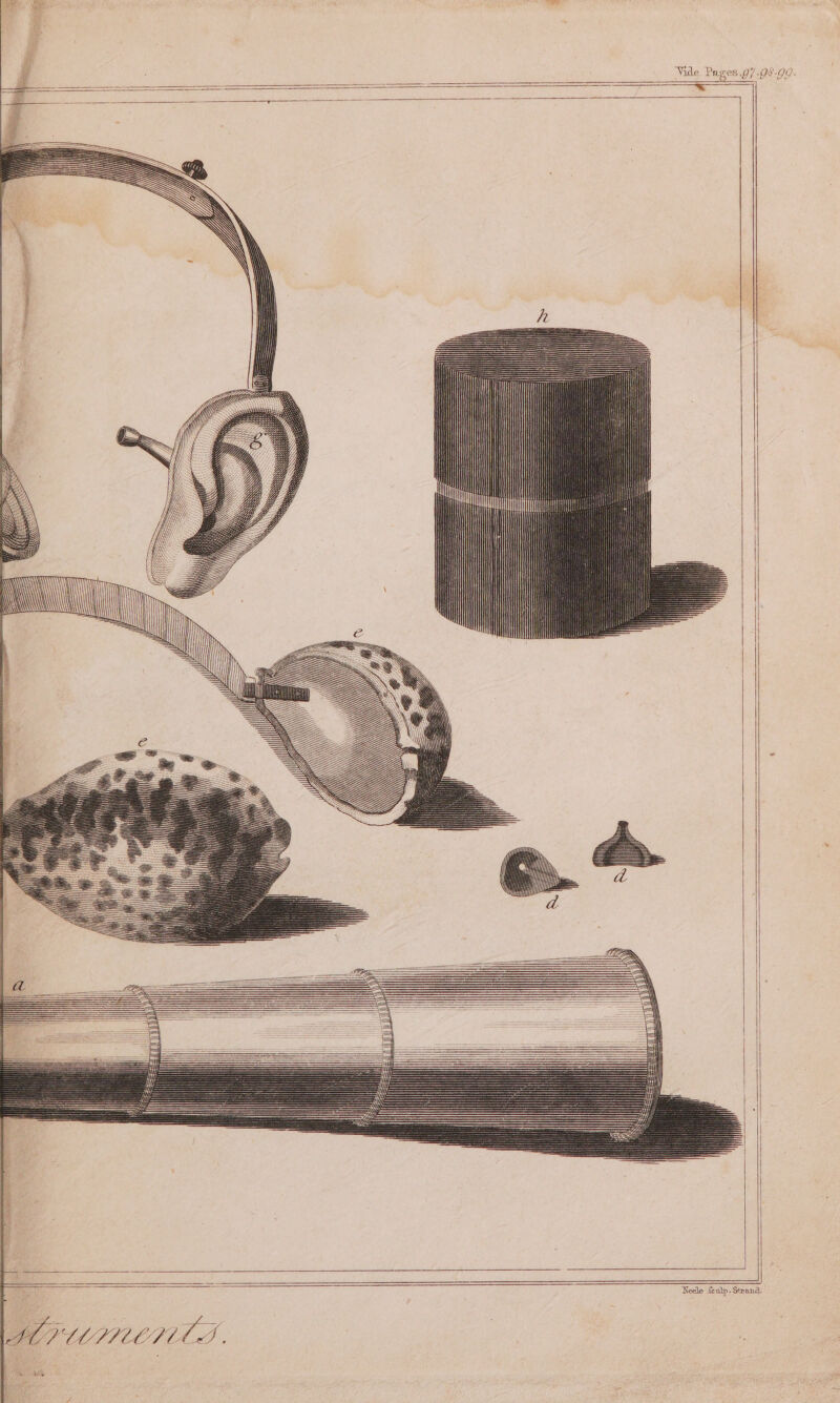 Neelo feulp. Strand, Git 7d.