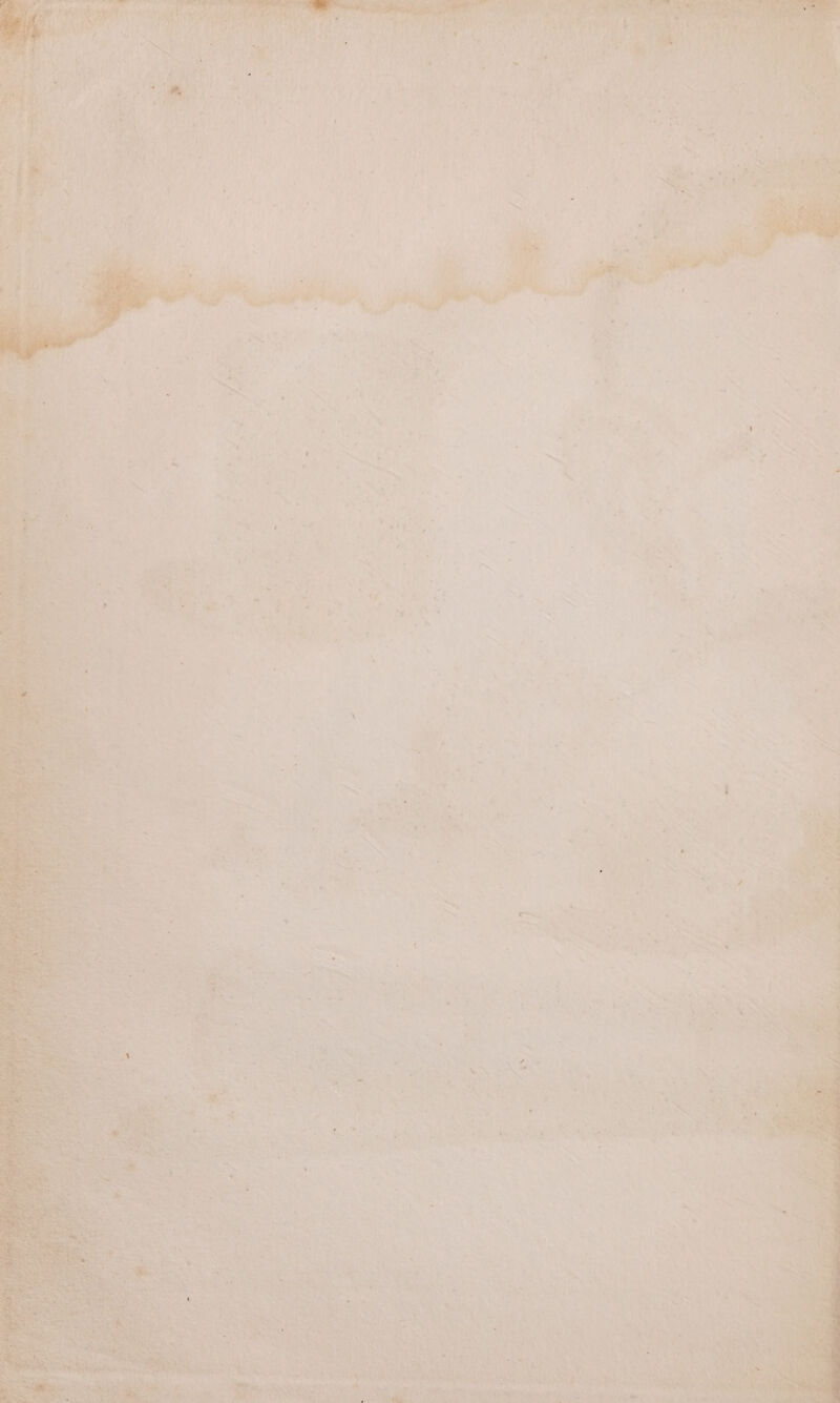 Tom a PF es cat taeiee