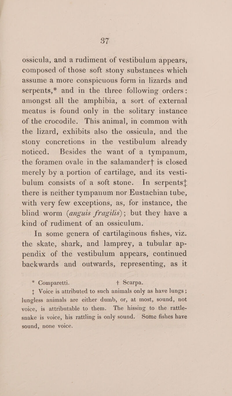 ossicula, and a rudiment of vestibulum appears, composed of those soft stony substances which assume a more conspicuous form in lizards and serpents,* and in the three following orders: amongst all the amphibia, a sort of external meatus is found only in the solitary instance of the crocodile. This animal, in common with the lizard, exhibits also the ossicula, and the stony concretions in the vestibulum already noticed. Besides the want of a tympanum, the foramen ovale in the salamandert is closed merely by a portion of cartilage, and its vesti- bulum consists of a soft stone. In serpentst there is neither tympanum nor Eustachian tube, with very few exceptions, as, for instance, the blind worm (anguis fragilis); but they have a kind of rudiment of an ossiculum. In some genera of cartilaginous fishes, viz. the skate, shark, and lamprey, a tubular ap- pendix of the vestibulum appears, continued backwards and outwards, representing, as it * Comparetti. + Scarpa. t Voice is attributed to such animals only as have lungs ; lungless animals are either dumb, or, at most, sound, not voice, is attributable to them. The hissing to the rattle- snake is voice, his rattling is only sound. Some fishes have sound, none voice.