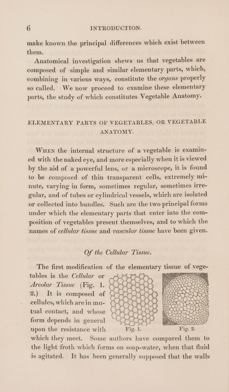 make known the principal differences which exist between them. Anatomical investigation shews us that vegetables are composed of simple and similar elementary parts, which, combining in various ways, constitute the organs properly so called. We now proceed to examine these elementary parts, the study of which constitutes Vegetable Anatomy. ELEMENTARY PARTS OF VEGETABLES, OR VEGETABLE ANATOMY. Wuen the internal structure of a vegetable is examin- ed with the naked eye, and more especially when it is viewed by the aid of a powerful lens, or a microscope, it 1s found to be composed of thin transparent cells, extremely mi- nute, varying in form, sometimes regular, sometimes irre- gular, and of tubes or cylindrical vessels, which are isolated or collected into bundles. Such are the two principal forms under which the elementary parts that enter into the com- position of vegetables present themselves, and to which the names of cellular tissue and vascular tissue have been given. Of the Cellular Tissue. The first modification of the elementary tissue of vege- tables is the Cellular or 7 Areolar Tissue (Fig. 1. eee 2.) It is composed of cellules, which arein mu- ) £ geseescee 4 ee. RE 2 3 > KE où tual contact, and whose es L , æ; 17 form depends in general RTL Ep upon the resistance with Fig. 1. Fig. 2. which they meet. Some authors have compared them to the light froth which forms on soap-water, when that fluid is agitated. It has been generally supposed that the walls