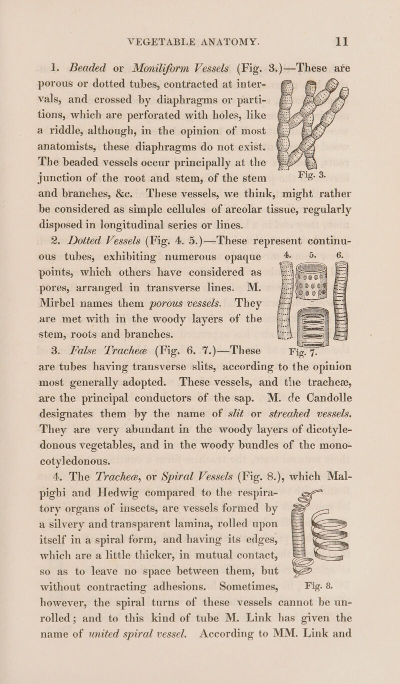 1. Beaded or Moniliform Vessels (Fig. 3. je Gta are porous or dotted tubes, contracted at inter- @) 2 £ vals, and crossed by diaphragms or parti- tions, which are perforated with holes, like a riddle, although, in the opinion of most anatomists, these diaphragms do not exist. The beaded vessels occur principally at the junction of the root and stem, of the stem and branches, &amp;c. These vessels, we think, might rather be considered as simple cellules of areolar tissue, regularly disposed in longitudinal series or lines. 2. Dotted Vessels (Fig. 4. 5.)—These represent continu- ous tubes, exhibiting numerous opaque points, which others have considered as pores, arranged in transverse lines. M. Mirbel names them porous vessels. They are met with in the woody layers of the stem, roots and branches. 3. False Trachee (Fig. 6. 7.)—These are tubes having transverse slits, according to the opinion most generally adopted. These vessels, and the tracheæ, are the principal conductors of the sap. M. de Candolle designates them by the name of slit or streaked vessels. They are very abundant in the woody layers of dicotyle- donous vegetables, and in the woody bundles of the mono- cotyledonous. 4, The Trachee, or Spiral Vessels (Fig. 8.), which Mal- pighi and Hedwig compared to the respira- tory organs of insects, are vessels formed by a silvery and transparent lamina, rolled upon itself in a spiral form, and having its edges, which are a little thicker, in mutual contact, so as to leave no space between them, but without contracting adhesions. Sometimes, Fig. 8. however, the spiral turns of these vessels cannot be un- rolled; and to this kind of tube M. Link has given the name of wnited spiral vessel. According to MM. Link and
