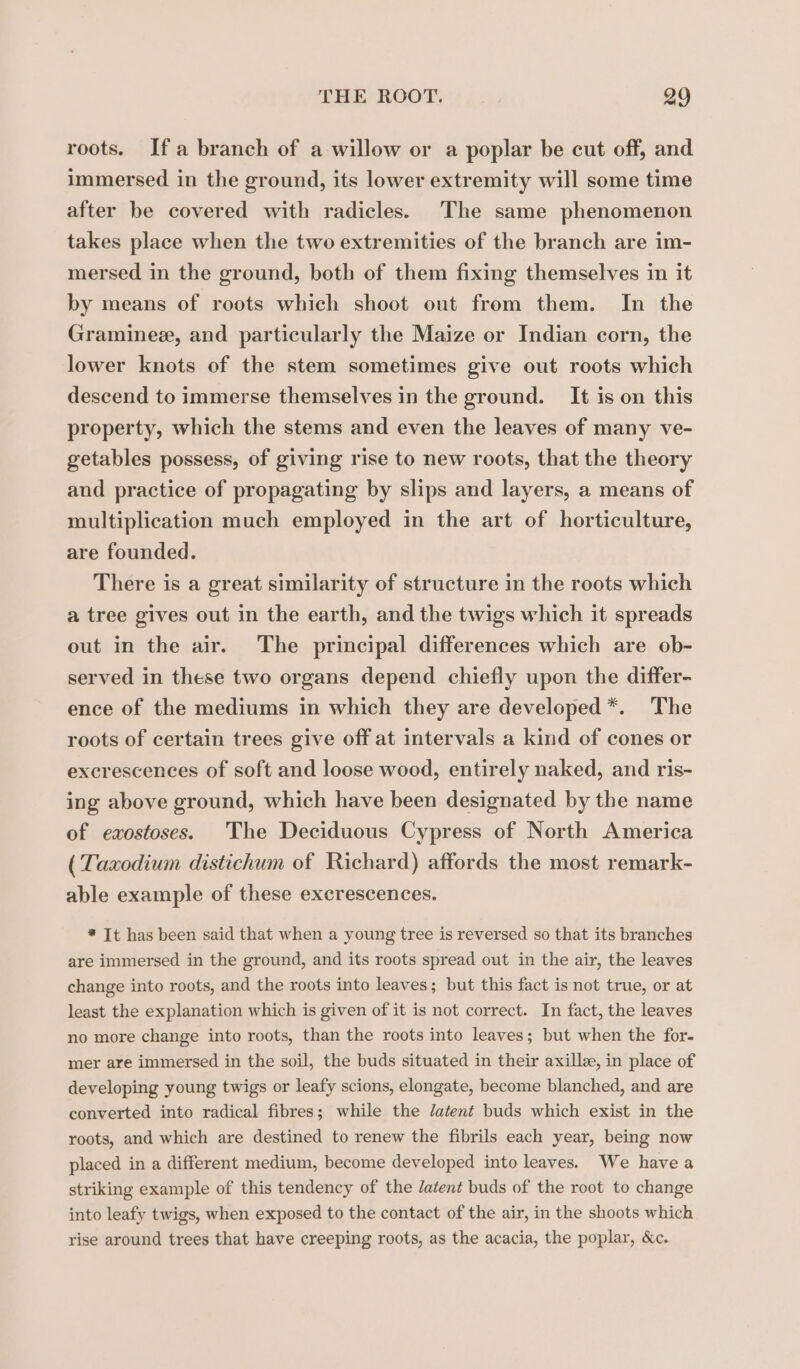 roots. Ifa branch of a willow or a poplar be cut off, and immersed in the ground, its lower extremity will some time after be covered with radicles. The same phenomenon takes place when the two extremities of the branch are im- mersed in the ground, both of them fixing themselves in it by means of roots which shoot out from them. In the Graminee, and particularly the Maize or Indian corn, the lower knots of the stem sometimes give out roots which descend to immerse themselves in the ground. It is on this property, which the stems and even the leaves of many ve- getables possess, of giving rise to new roots, that the theory and practice of propagating by slips and layers, a means of multiplication much employed in the art of horticulture, are founded. There is a great similarity of structure in the roots which a tree gives out in the earth, and the twigs which it spreads out in the air. The principal differences which are ob- served in these two organs depend chiefly upon the differ- ence of the mediums in which they are developed *. The roots of certain trees give off at intervals a kind of cones or excrescences of soft and loose wood, entirely naked, and ris- ing above ground, which have been designated by the name of exostoses. The Deciduous Cypress of North America (Taxodium distichum of Richard) affords the most remark- able example of these excrescences. * It has been said that when a young tree is reversed so that its branches are immersed in the ground, and its roots spread out in the air, the leaves change into roots, and the roots into leaves; but this fact is not true, or at least the explanation which is given of it is not correct. In fact, the leaves no more change into roots, than the roots into leaves; but when the for- mer are immersed in the soil, the buds situated in their axillæ, in place of developing young twigs or leafy scions, elongate, become blanched, and are converted into radical fibres; while the Zatent buds which exist in the roots, and which are destined to renew the fibrils each year, being now placed in a different medium, become developed into leaves. We havea striking example of this tendency of the Zatent buds of the root to change into leafy twigs, when exposed to the contact of the air, in the shoots which rise around trees that have creeping roots, as the acacia, the poplar, &amp;c.