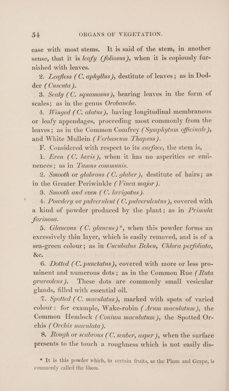 case with most stems. It is said of the stem, in another sense, that it is leafy (foliosus), when it is copiously fur- nished with leaves. 2. Leafless (C. aphyllus), destitute of leaves ; as in Dod- der (Cuscuta ). 8. Scaly (C. squamosus), bearing leaves in the form of scales; as in the genus Orobanche. 4, Winged (C. alatus), having longitudinal membranous or leafy appendages, proceeding most commonly from the leaves; as in the Common Comfrey (Symphytum officinale ), and White Mullein (Verbascum Thapsus ). F. Considered with respect to its surface, the stem is, 1. Even (C. levis), when it has no asperities or emi- nences; as in Zamus communis. 2. Smooth or glabrous (C. glaber), destitute of hairs; as in the Greater Periwinkle ( Vinca major ). 3. Smooth and even (C. levigatus ). 4. Powdery or pulverulent (C. pulverulentus ), covered with a kind of powder produced by the plant; as in Primula farinosa. 5. Glaucous (C. glaucus)*, when this powder forms an excessively thin layer, which is easily removed, and is of a sea-green colour; as in Cucubalus Behen, Chlora perfoliata, &amp;e. 6. Dotted (C. punctatus), covered with more or less pro- minent and numerous dots; as in the Common Rue (Ruta graveolens ). These dots are commonly small vesicular glands, filled with essential oil. | 7. Spotted (C. maculatus), marked with spots of varied colour: for example, Wake-robin (Arum maculatum), the Common Hemlock ( Conium maculatum), the Spotted Or- chis (Orchis maculata ). 8. Lough or scabrous (C. scaber, asper ), when the surface presents to the touch a roughness which is not easily dis- * It is this powder which, in certain fruits, as the Plum and Grape, is commonly called the bloom.