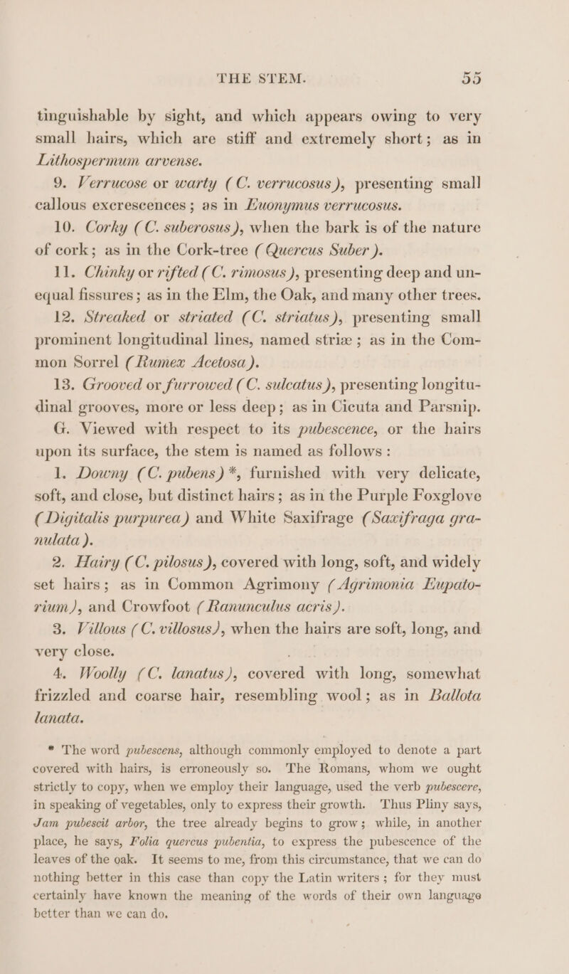 tinguishable by sight, and which appears owing to very small hairs, which are stiff and extremely short; as in Lithospermum arvense. 9. Verrucose or warty (C. verrucosus), presenting small callous excrescences ; as in Æuonymus verrucosus. 10. Corky (C. suberosus), when the bark is of the nature of cork; as in the Cork-tree ( Quercus Suber ). 11. Chinky or rifted (C. rimosus ), presenting deep and un- equal fissures ; as in the Elm, the Oak, and many other trees. 12. Streaked or striated (C. striatus), presenting small prominent longitudinal lines, named striz ; as in the Com- mon Sorrel (èumex Acetosa ). 13. Grooved or furrowed (C. sulcatus ), presenting longitu- dinal grooves, more or less deep; as in Cicuta and Parsnip. G. Viewed with respect to its pubescence, or the hairs upon its surface, the stem is named as follows : 1. Downy (C. pubens) *, furnished with very delicate, soft, and close, but distinct hairs; as in the Purple Foxglove (Digitalis purpurea) and White Saxifrage (Saxifraga gra- nulata ). 2. Hairy (C. pilosus ), covered with long, soft, and widely set hairs; as in Common Agrimony (Agrimonia Eupato- rium), and Crowfoot ( Ranunculus acris ). 3. Villous (C. villosus), when the hairs are soft, long, and very close. soni 4. Woolly (C. lanatus), covered with long, somewhat frizzled and coarse hair, resembling wool; as in Ballota lanata. * The word pubescens, although commonly employed to denote a part covered with hairs, is erroneously so. The Romans, whom we ought strictly to copy, when we employ their language, used the verb pubescere, in speaking of vegetables, only to express their growth. Thus Pliny says, Jam pubescit arbor, the tree already begins to grow; while, in another place, he says, Folia quercus pubentia, to express the pubescence of the leaves of the oak. It seems to me, from this circumstance, that we can do nothing better in this case than copy the Latin writers ; for they must certainly have known the meaning of the words of their own language better than we can do,