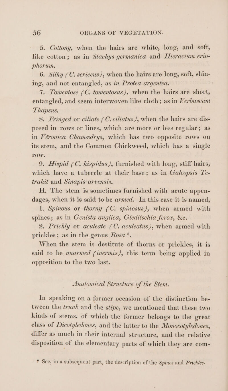 5. Cottony, when the hairs are white, long, and soft, like cotton; as in Stachys germanica and Hieracium erto- phorum. 6. Silky (C. sericeus), when the hairs are long, soft, shin- ing, and not entangled, as in Protea argentea. 7%. Tomentose [ C. tomentosus), when the hairs are short, entangled, and seem interwoven like cloth; as in Verbascum Thapsus. 8. Fringed or ciliate (C. ciliatus), when the hairs are dis- posed in rows or lines, which are more or less regular ; as in Véronica Chamedrys, which has two opposite rows on its stem, and the Common Chickweed, which has a single row. 9. Hispid (C. hispidus), furnished with long, stiff hairs, which have a tubercle at their base; as in Galeopsis Te- trahit and Sinapis arvensis. H. The stem is sometimes furnished with acute appen- dages, when it is said to be armed. In this case it is named, 1. Spinous or thorny (C. spinosus), when armed with spines; as in Genista anglica, Gleditschia ferox, &amp;c. 2. Prickly or aculeate (C. aculeatus), when armed with prickles; as in the genus Æosa *, When the stem is destitute of thorns or prickles, it is said to be wnarmed (inermis), this term being applied in opposition to the two last. Anatomical Structure of the Stem. In speaking on a former occasion of the distinction be- tween the trunk and the stipe, we mentioned that these two kinds of stems, of which the former belongs to the great class of Dicotyledones, and the latter to the Monocotyledones, differ as much in their internal structure, and the relative disposition of the elementary parts of which they are com- * See, in a subsequent part, the description of the Spines and Prickles.
