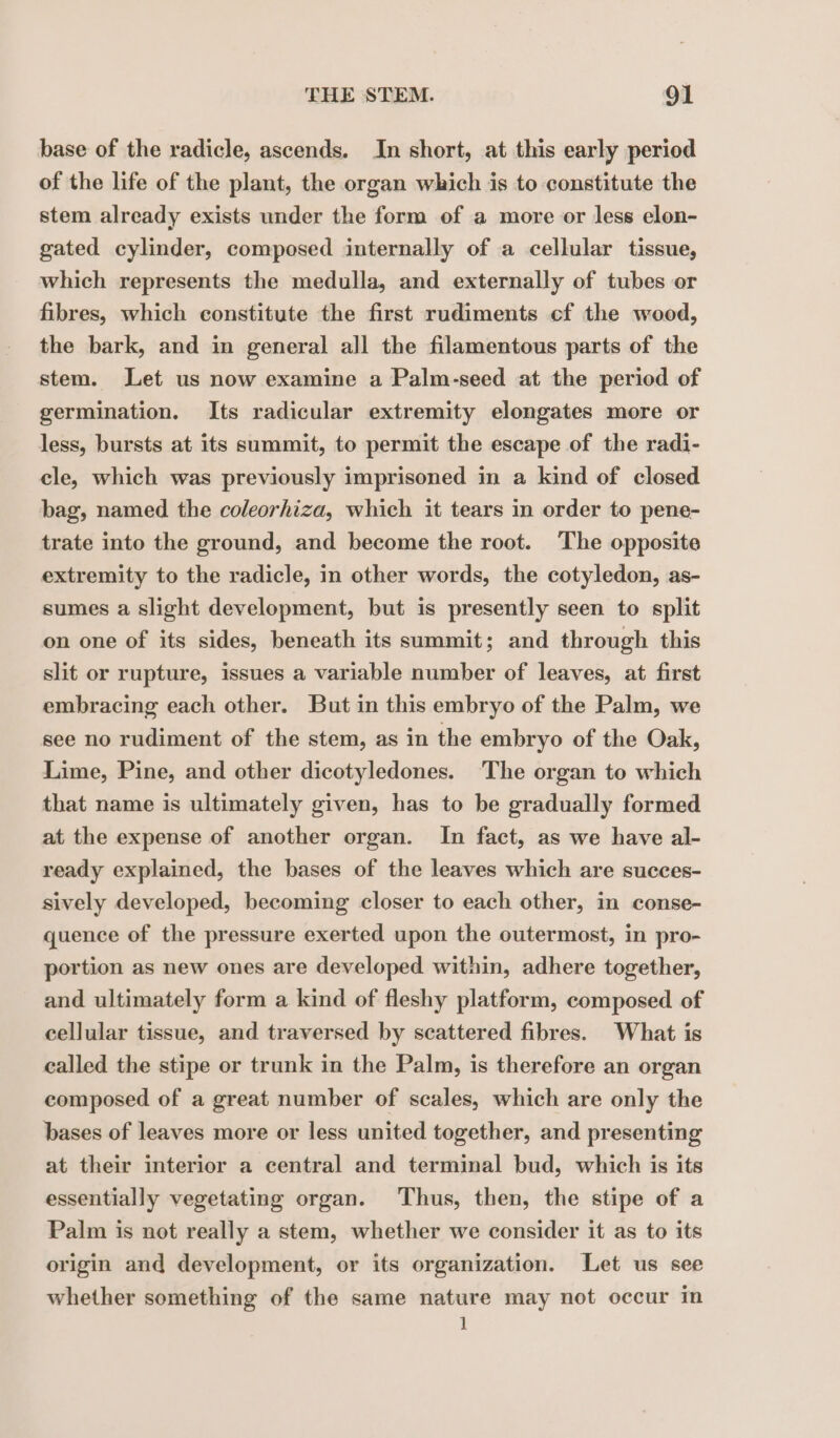 base of the radicle, ascends. In short, at this early period of the life of the plant, the organ which is to constitute the stem already exists under the form of a more or less elon- gated cylinder, composed internally of a cellular tissue, which represents the medulla, and externally of tubes or fibres, which constitute the first rudiments cf the wood, the bark, and in general all the filamentous parts of the stem. Let us now examine a Palm-seed at the period of germination. Its radicular extremity elongates more or less, bursts at its summit, to permit the escape of the radi- cle, which was previously imprisoned in a kind of closed bag, named the coleorhiza, which it tears in order to pene- trate into the ground, and become the root. The opposite extremity to the radicle, in other words, the cotyledon, as- sumes a slight development, but is presently seen to split on one of its sides, beneath its summit; and through this slit or rupture, issues a variable number of leaves, at first embracing each other. But in this embryo of the Palm, we see no rudiment of the stem, as in the embryo of the Oak, Lime, Pine, and other dicotyledones. The organ to which that name is ultimately given, has to be gradually formed at the expense of another organ. In fact, as we have al- ready explained, the bases of the leaves which are succes- sively developed, becoming closer to each other, in conse- quence of the pressure exerted upon the outermost, in pro- portion as new ones are developed within, adhere together, and ultimately form a kind of fleshy platform, composed of cellular tissue, and traversed by scattered fibres. What is called the stipe or trunk in the Palm, is therefore an organ composed of a great number of scales, which are only the bases of leaves more or less united together, and presenting at their interior a central and terminal bud, which is its essentially vegetating organ. Thus, then, the stipe of a Palm is not really a stem, whether we consider it as to its origin and development, or its organization. Let us see whether something of the same nature may not occur in 1