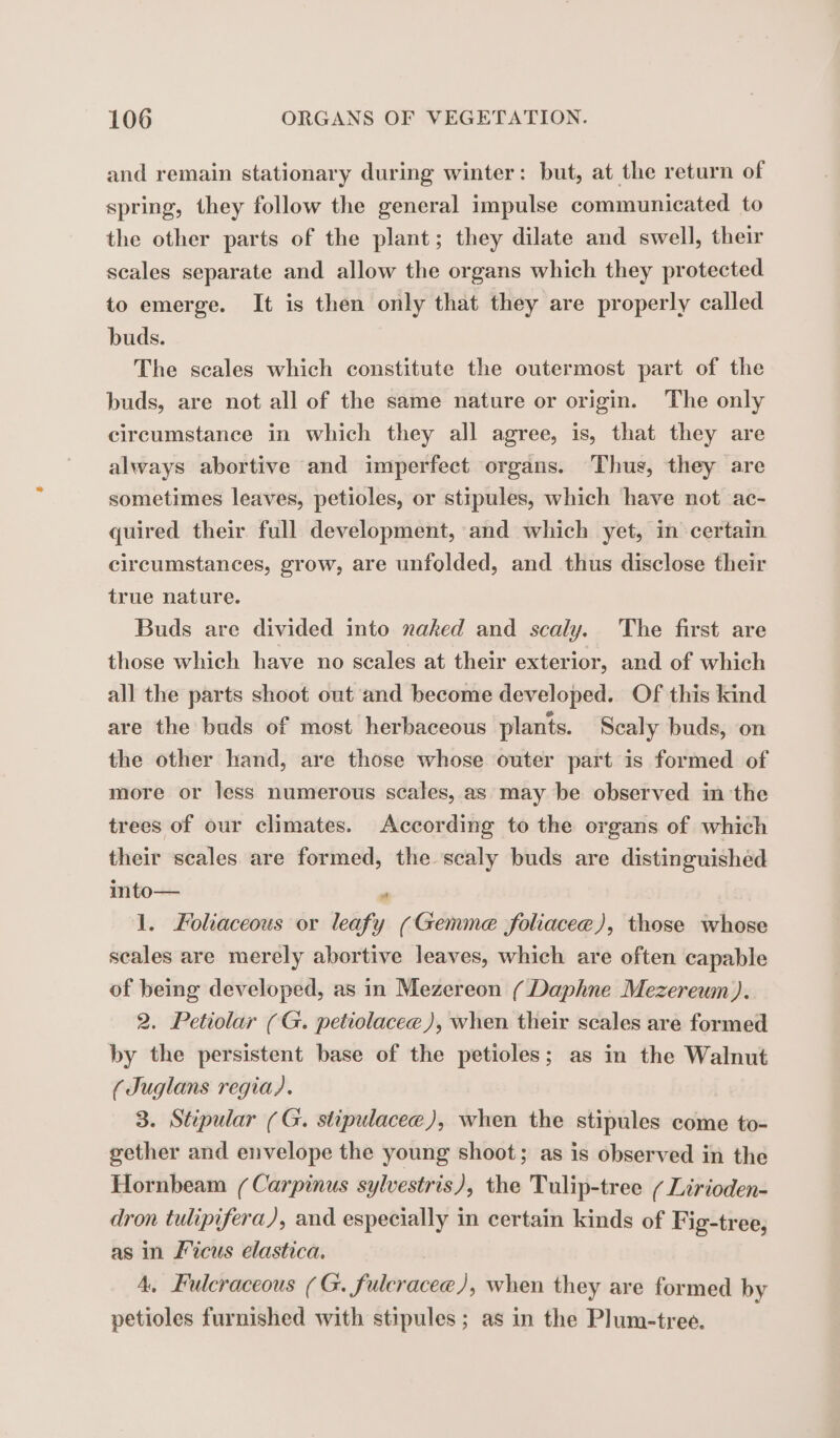 and remain stationary during winter: but, at the return of spring, they follow the general impulse communicated to the other parts of the plant; they dilate and swell, their scales separate and allow the organs which they protected to emerge. It is then only that they are properly called buds. The scales which constitute the outermost part of the buds, are not all of the same nature or origin. The only circumstance in which they all agree, is, that they are always abortive and imperfect organs. Thus, they are sometimes leaves, petioles, or stipules, which have not ac- quired their full development, and which yet, in certain circumstances, grow, are unfolded, and thus disclose their true nature. Buds are divided into naked and scaly. The first are those which have no scales at their exterior, and of which all the parts shoot out and become developed. Of this kind are the buds of most herbaceous plants. Scaly buds, on the other hand, are those whose outer part is formed of more or less numerous scales, as may be observed in the trees of our climates. According to the organs of which their scales are formed, the scaly buds are distinguished into— 4 1. Foliaceous or leafy (Gemme foliacee), those whose scales are merely abortive leaves, which are often capable of being developed, as in Mezereon ( Daphne Mezereum). 2. Petiolar (G. petiolacee), when their scales are formed by the persistent base of the petioles; as in the Walnut (Juglans regia). 3. Stipular (G. stipulaceæ), when the stipules come to- gether and envelope the young shoot; as is observed in the Hornbeam (Carpinus sylvestris), the Tulip-tree / Lirioden- dron tulipifera), and especially in certain kinds of Fig-tree, as in Ficus elastica. 4, Fulcraceous (G. fulcraceæ), when they are formed by petioles furnished with stipules; as in the Plum-tree.