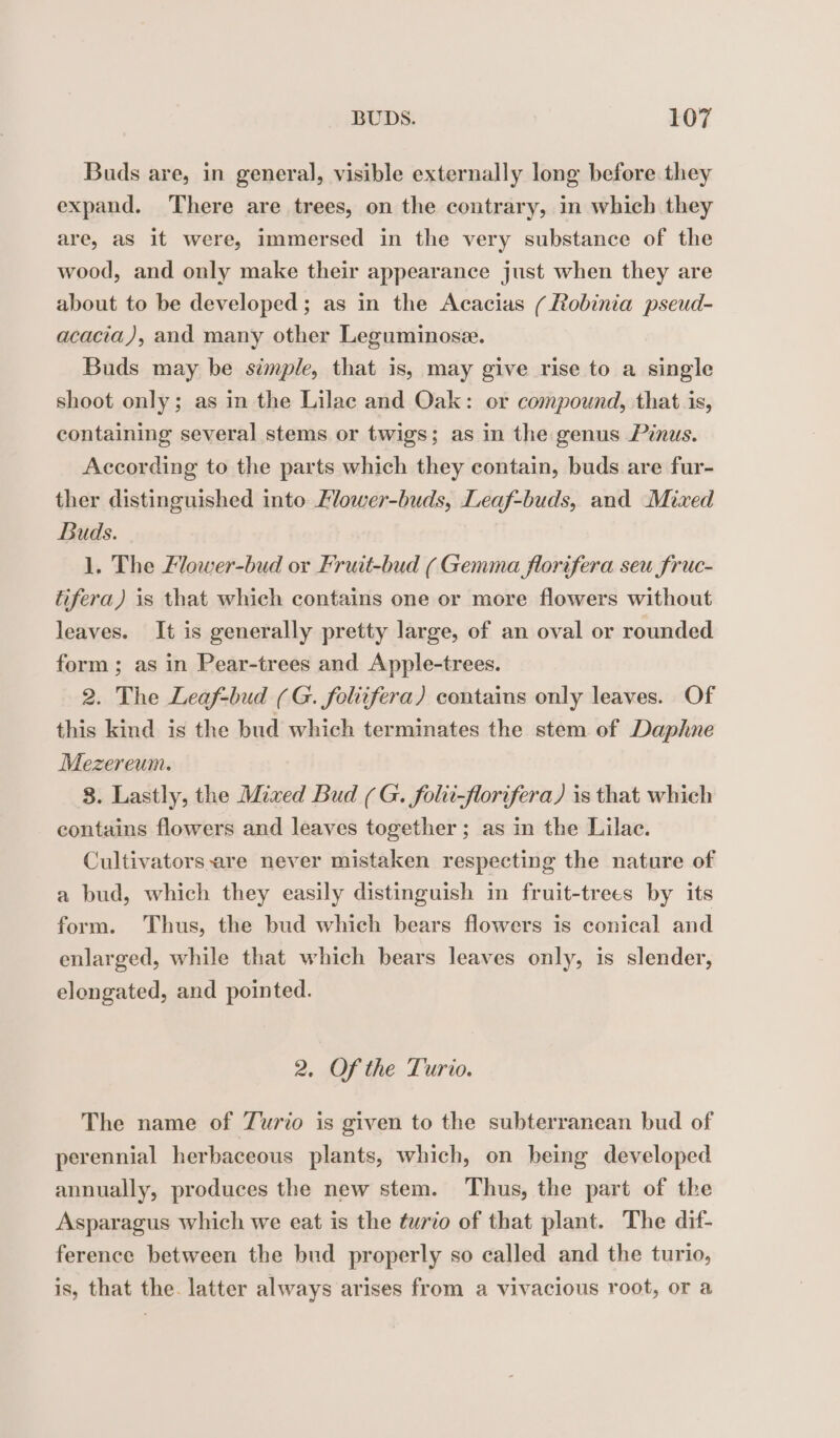 Buds are, in general, visible externally long before they expand. There are trees, on the contrary, in which they are, aS it were, immersed in the very substance of the wood, and only make their appearance just when they are about to be developed; as in the Acacias (Robinia pseud- acacia), and many other Leguminose. Buds may be simple, that is, may give rise to a single shoot only; as in the Lilac and Oak: or compound, that is, containing several stems or twigs; as in the genus Pinus. According to the parts which they contain, buds are fur- ther distinguished into Ælower-buds, Leaf-buds, and Mixed Buds. 1. The Flower-bud or Fruit-bud ( Gemma florifera seu fruc- tifera) is that which contains one or more flowers without leaves. It is generally pretty large, of an oval or rounded form; as in Pear-trees and Apple-trees. 2. The Leaf-bud (G. foliifera) contains only leaves. Of this kind is the bud which terminates the stem of Daphne Mezereum. 8. Lastly, the Mixed Bud (G. folit-florifera) is that which contains flowers and leaves together ; as in the Lilac. Cultivators-are never mistaken respecting the nature of a bud, which they easily distinguish in fruit-trees by its form. Thus, the bud which bears flowers is conical and enlarged, while that which bears leaves only, is slender, elongated, and pointed. 2, Of the Turio. The name of Turio is given to the subterranean bud of perennial herbaceous plants, which, on being developed annually, produces the new stem. Thus, the part of the Asparagus which we eat is the turio of that plant. The dif- ference between the bud properly so called and the turio, is, that the. latter always arises from a vivacious root, or a