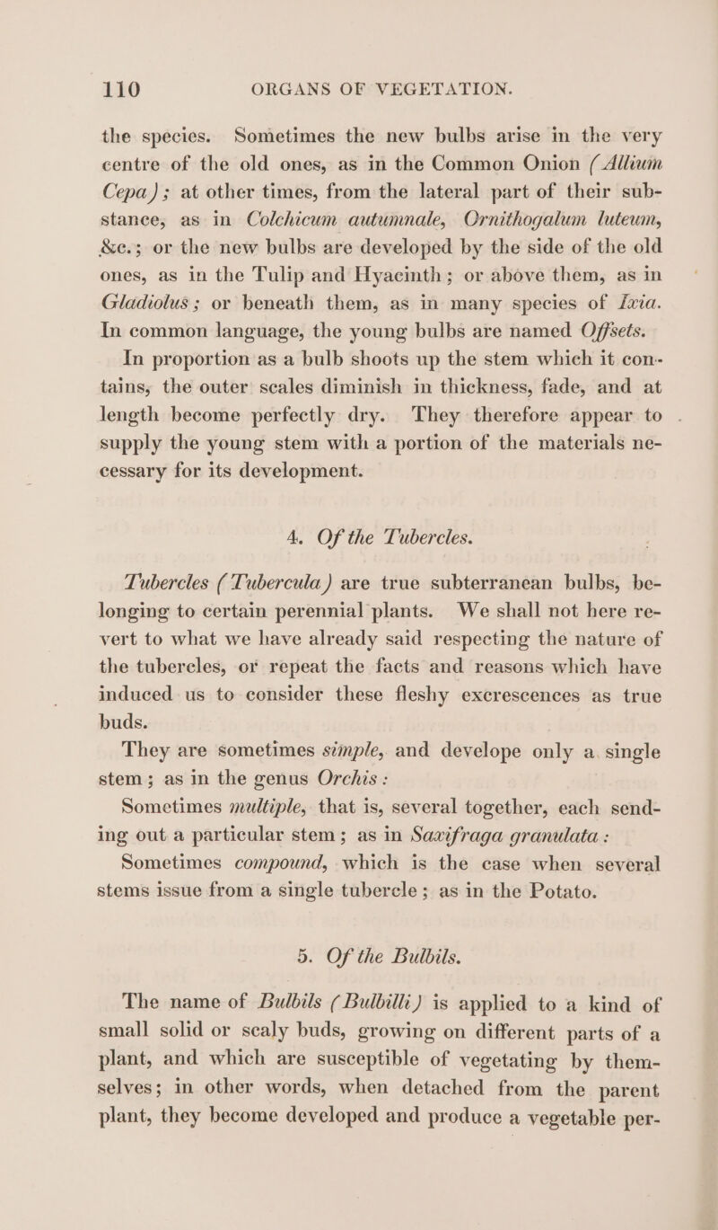 the species. Sometimes the new bulbs arise in the very centre of the old ones, as in the Common Onion ( Alliam Cepa) ; at other times, from the lateral part of their sub- stance, as in Colchicum autumnale, Ornithogalum lutewn, &amp;e.; or the new bulbs are developed by the side of the old ones, as in the Tulip and Hyacinth; or above them, as in Gladiolus ; or beneath them, as in many species of Lava. In common language, the young bulbs are named Offsets. In proportion as a bulb shoots up the stem which it con- tains, the outer scales diminish in thickness, fade, and at length become perfectly dry. They therefore appear to supply the young stem with a portion of the materials ne- cessary for its development. A. Of the Tubercles. Tubercles ( Tubercula) are true subterranean bulbs, be- longing to certain perennial plants. We shall not here re- vert to what we have already said respecting the nature of the tubereles, or repeat the facts and reasons which have induced us to consider these fleshy excrescences as true buds. They are sometimes simple, and develope only a. single stem; as in the genus Orchis : Sometimes multiple, that is, several together, each send- ing out a particular stem; as in Savifraga granulata : Sometimes compound, which is the case when several stems issue from a single tubercle; as in the Potato. 5. Of the Bulbils. The name of Bulbils ( Bulbilli) is applied to a kind of small solid or scaly buds, growing on different parts of a plant, and which are susceptible of vegetating by them- selves; in other words, when detached from the parent plant, they become developed and produce a vegetable per-