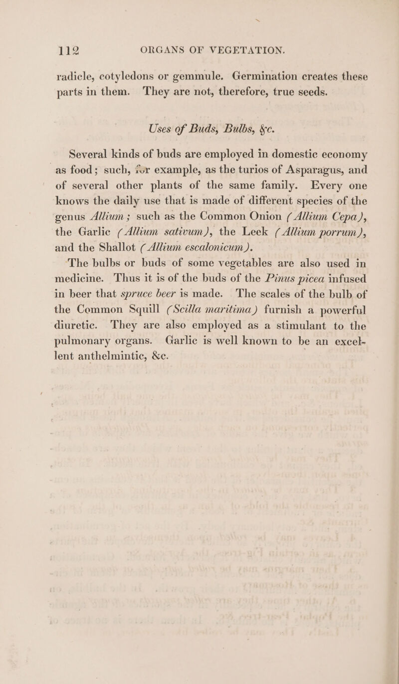 radicle, cotyledons or gemmule. Germination creates these parts in them. They are not, therefore, true seeds. Uses of Buds, Bulbs, &amp;c. Several kinds of buds are employed in domestic economy as food; such, for example, as the turios of Asparagus, and of several other plants of the same family. Every one knows the daily use that is made of different species of the genus Allium; such as the Common Onion ( Allium Cepa), the Garlic (Allium sativum), the Leek ( Allium porrum ), and the Shallot [ Allium escalonicum). ‘The bulbs or buds of some vegetables are also used in medicine. Thus it is of the buds of the Pinus picea infused in beer that spruce beer is made. The scales of the bulb of the Common Squill (Scilla maritima) furnish a powerful diuretic. They are also employed as a stimulant to the pulmonary organs. Garlic is well known to be an excel- lent anthelmintic, &amp;c. |